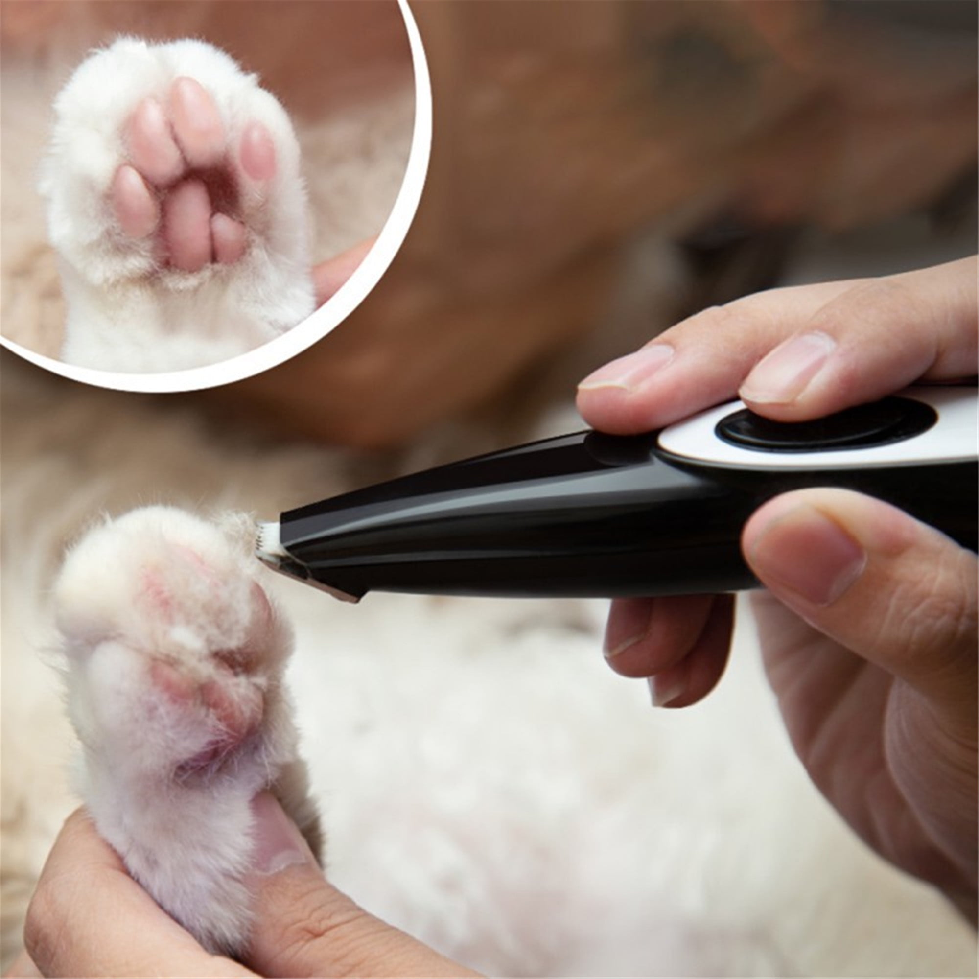 Eine Person schneidet die Pfote einer Katze mit einem Trimmer. Die Pfote ist weiß. Der Hintergrund ist blau.