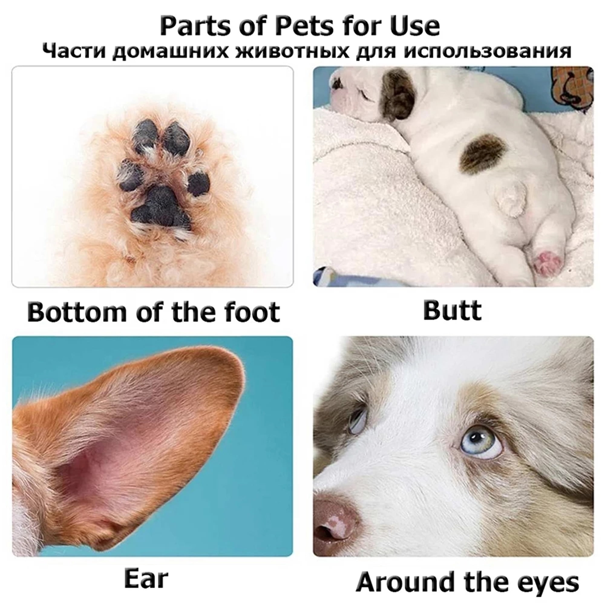 Bilder mit Pfote, Hintern, Ohr und Augen von Hunden, mit englischen Beschriftungen.