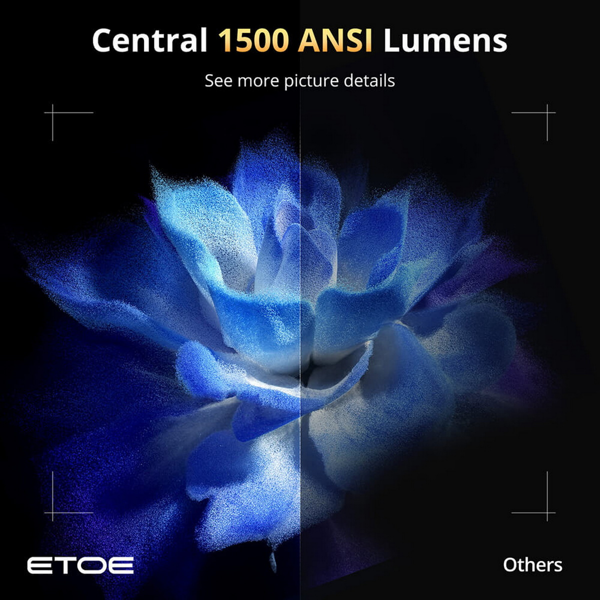 Nahaufnahme einer blau-weißen Blume mit dem Text 'Central 1500 ANSI Lumens'.