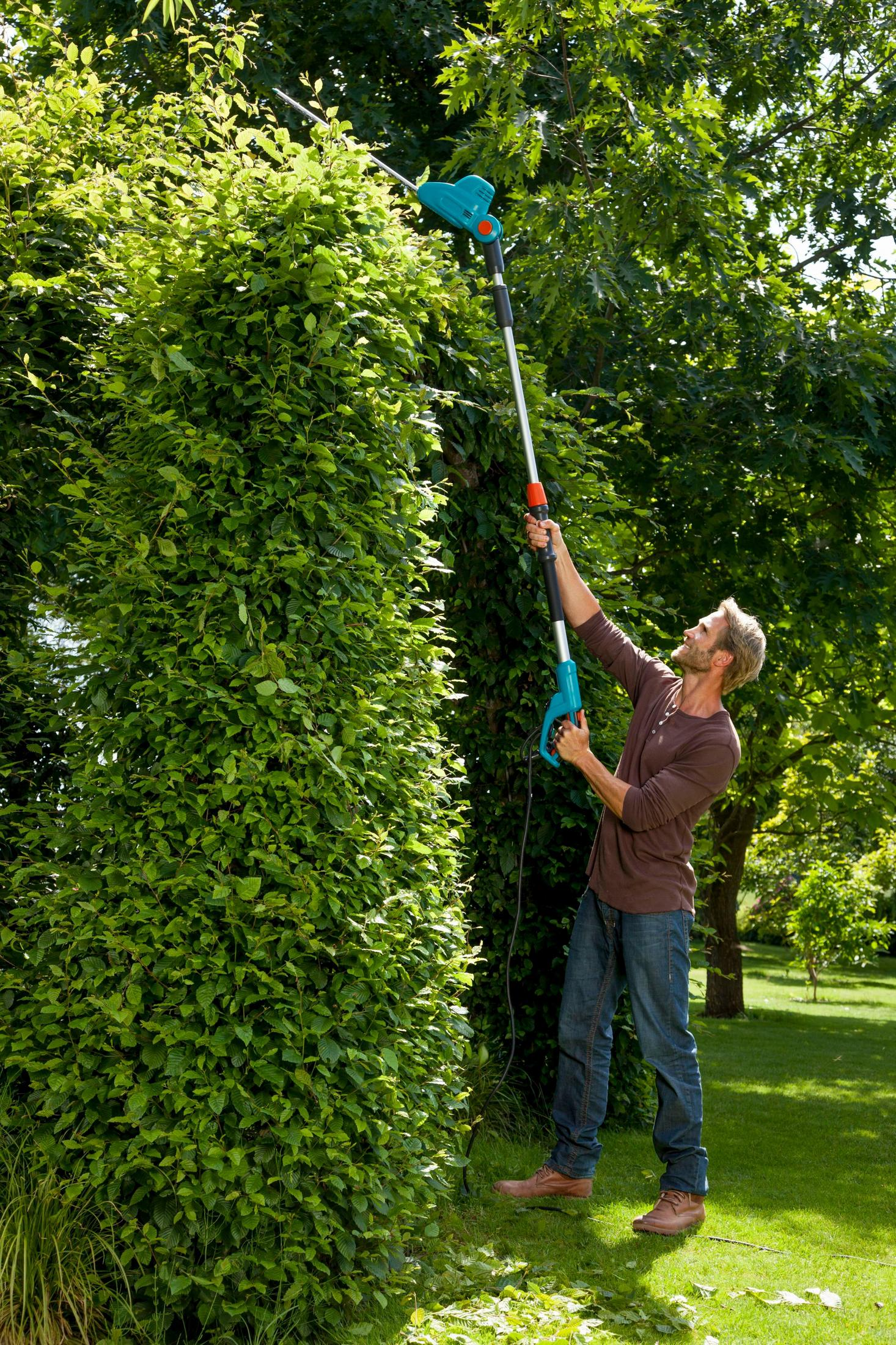 Mann schneidet Hecke mit Gardena Teleskop-Heckenschneider im Garten.