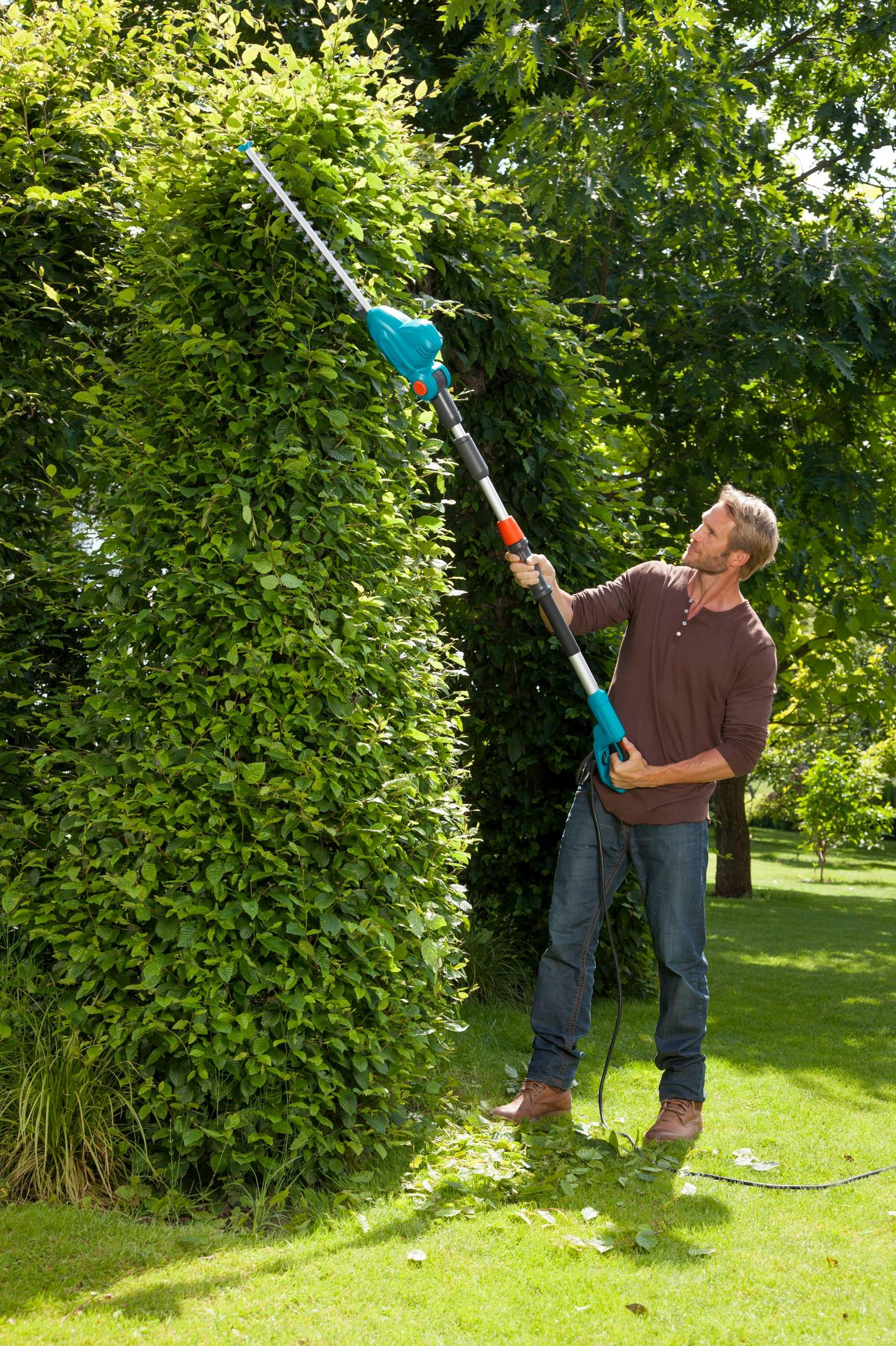 Mann benutzt eine Heckenschere an einer grünen Hecke im Garten.