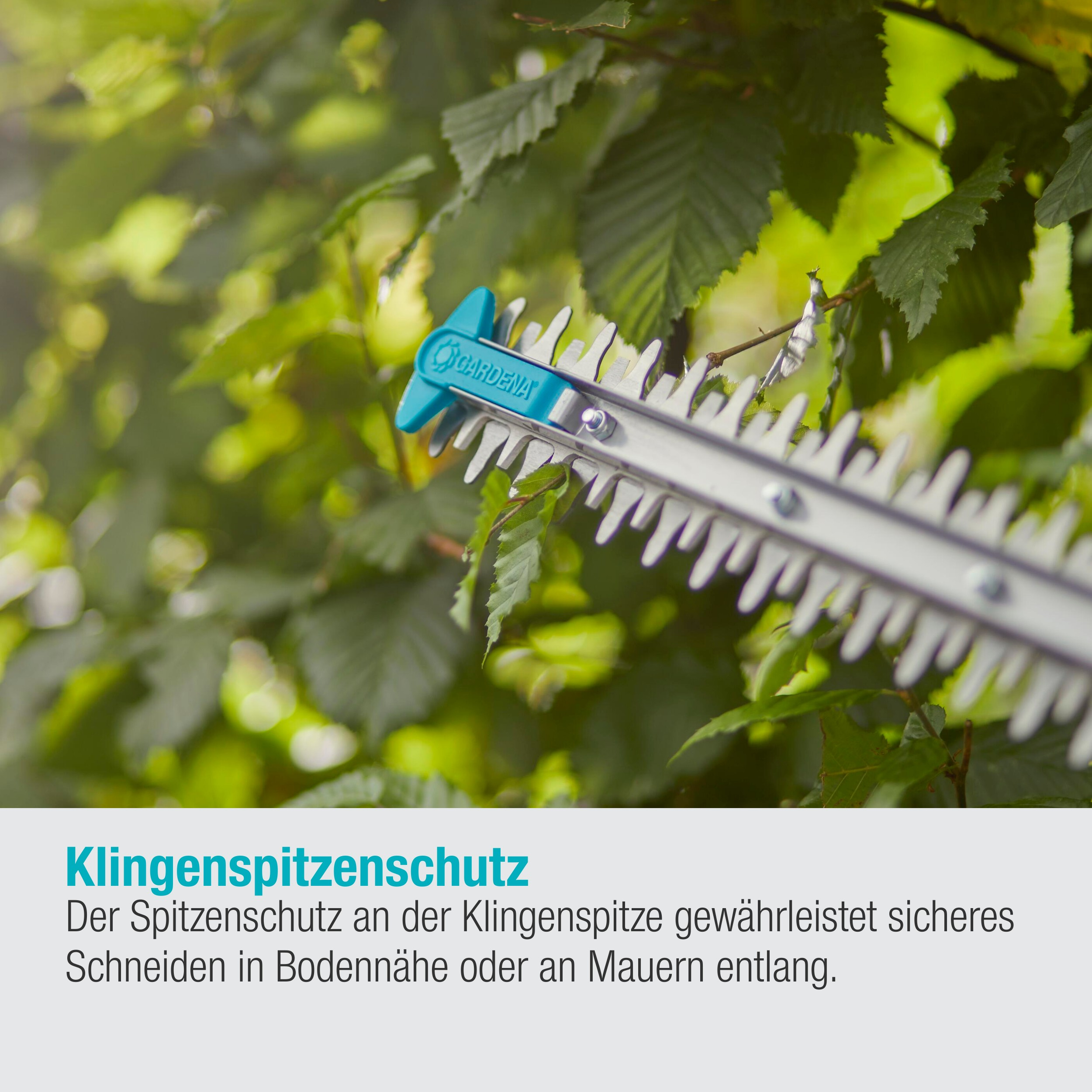 Zbliżenie na nożyce do żywopłotu. Zielone liście w tle. Niebieskie logo Gardena.