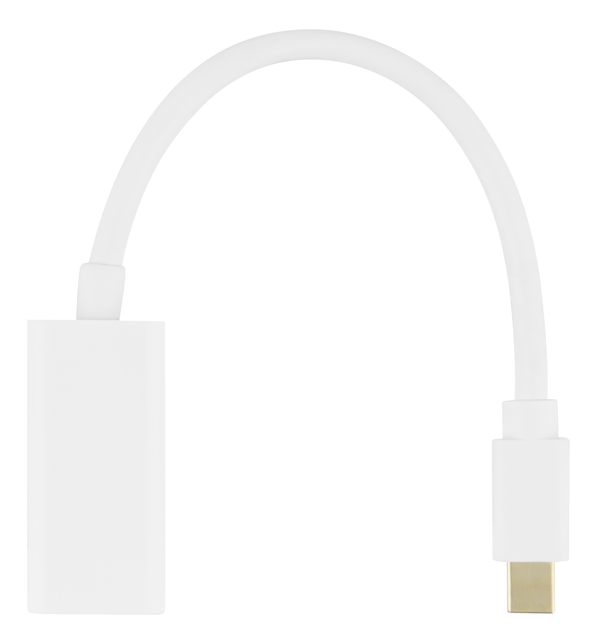 Un cable adaptador blanco. Un extremo tiene conector USB-C, el otro, cuerpo blanco.