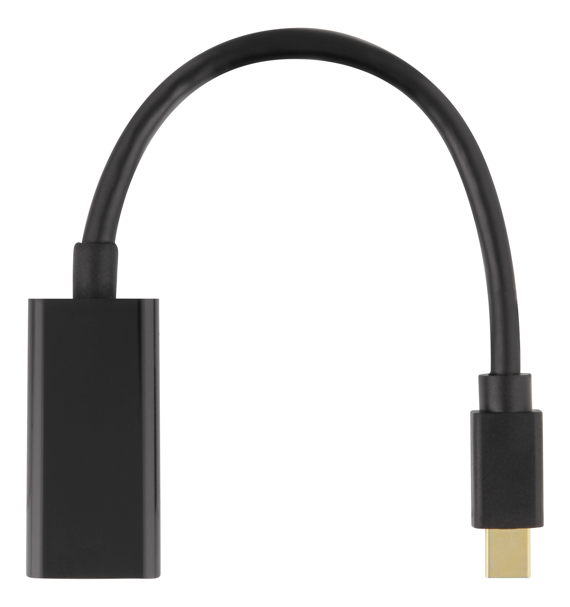 Cable adaptador negro. Un conector USB-C macho en un extremo y un conector DisplayPort macho en el otro.