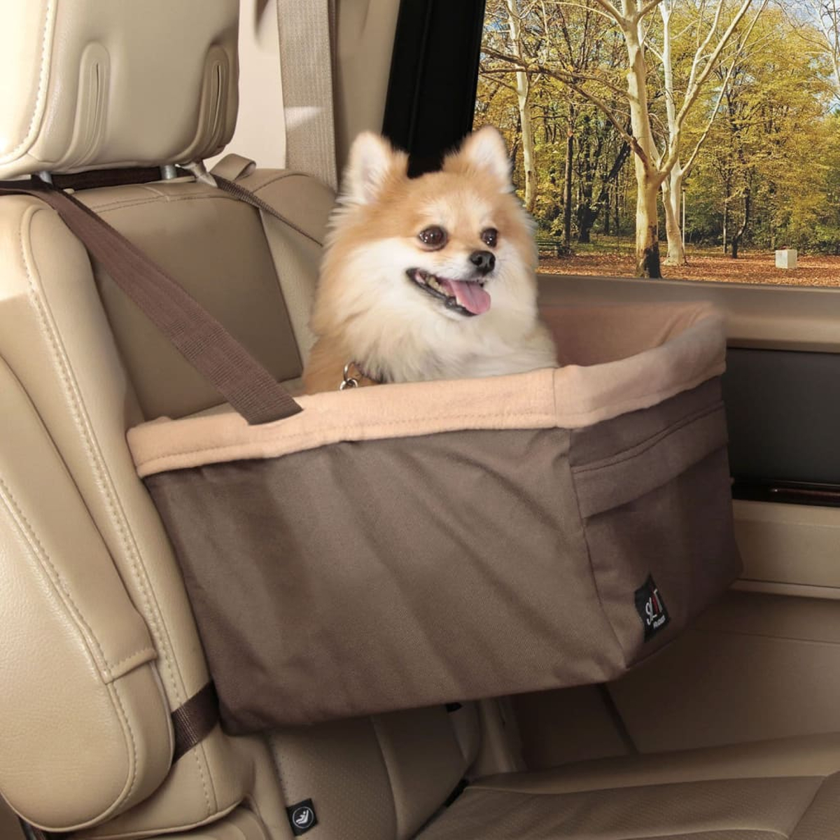 Ein Hund in einem Autositz. Der Sitz ist braun und beige. Der Innenraum des Autos ist sichtbar.
