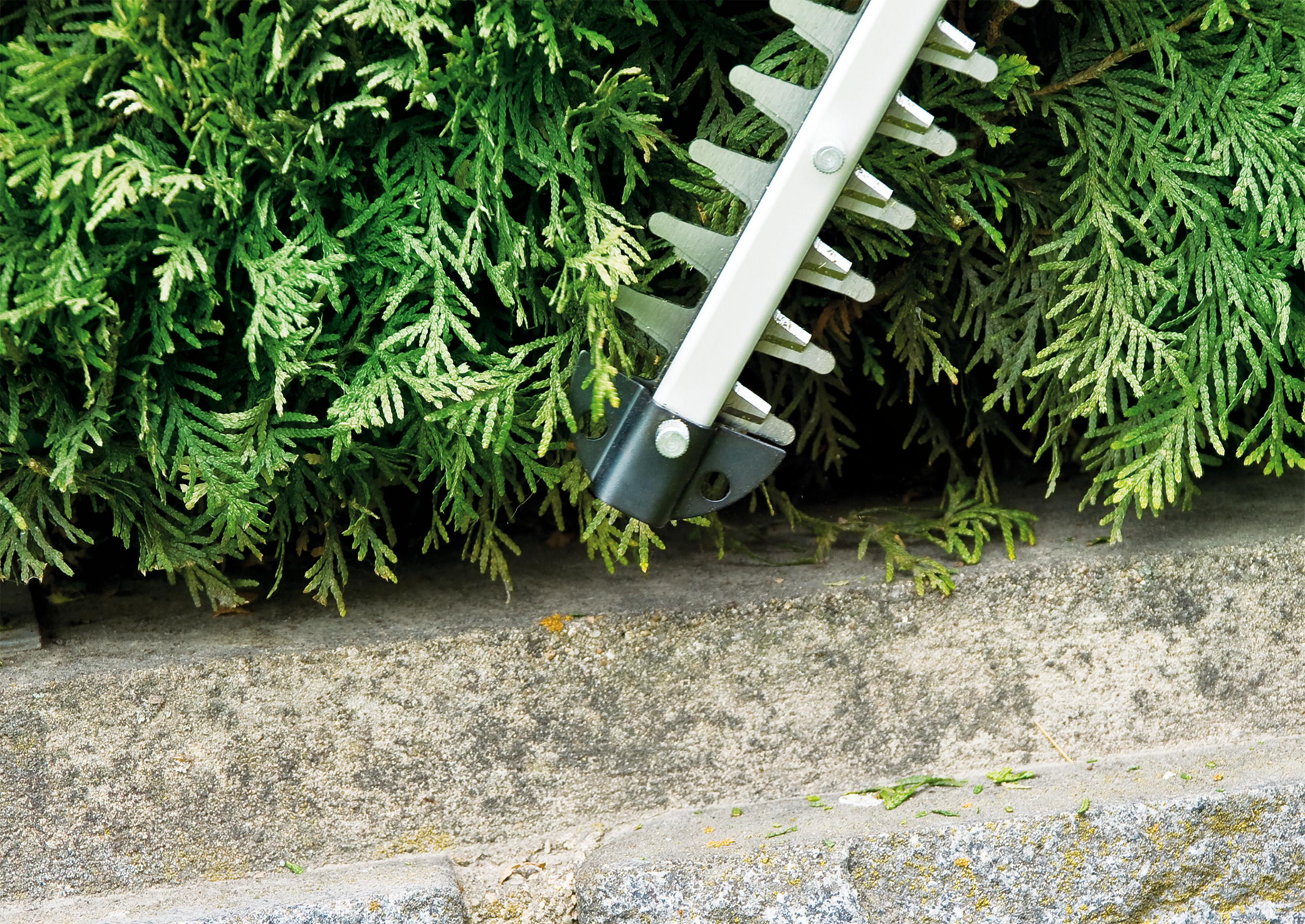 Heckenschere schneidet grüne Hecke. Die Klingen sind im Vordergrund, die Hecke im Hintergrund.