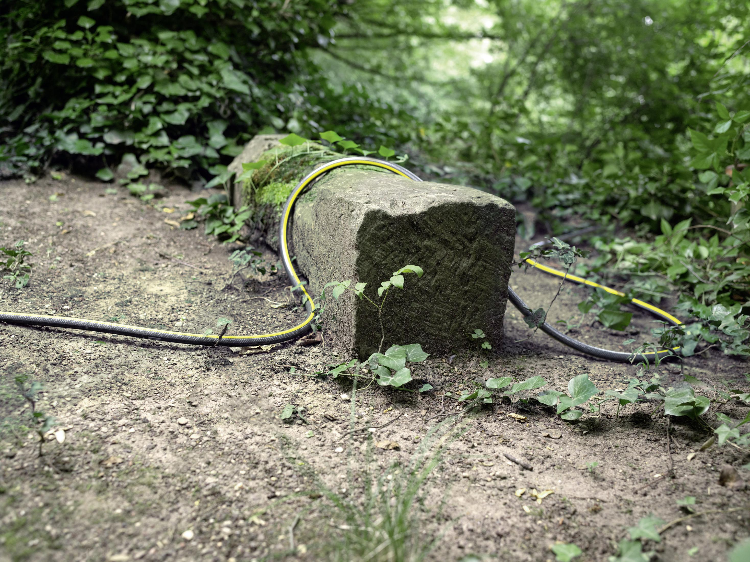Ein Schlauch umrundet eine Steinbank im Schatten mit grünem Laub. Der Schlauch ist schwarz und gelb.