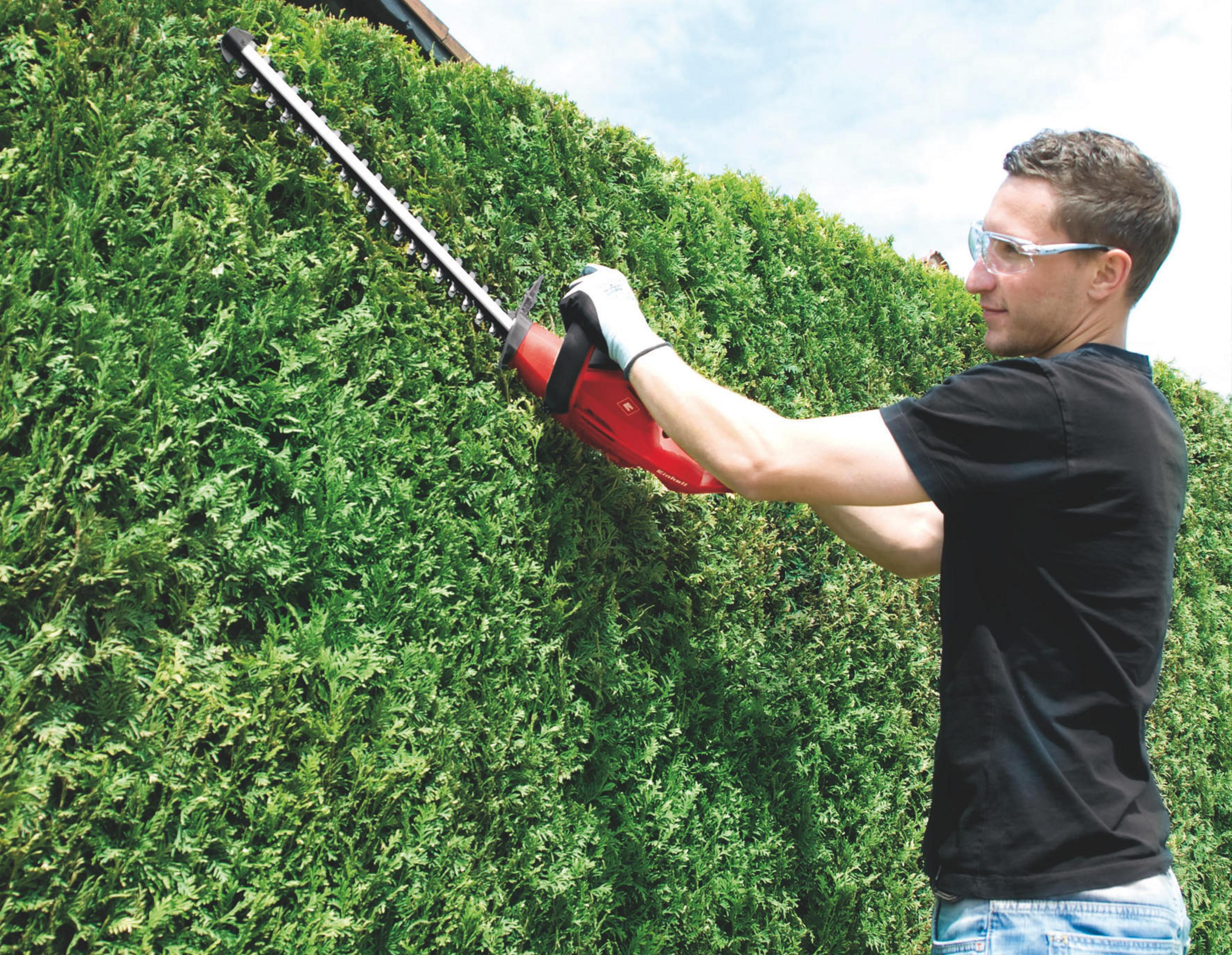 Mężczyzna używający czerwonych nożyc do żywopłotu na zielonym żywopłocie na zewnątrz.