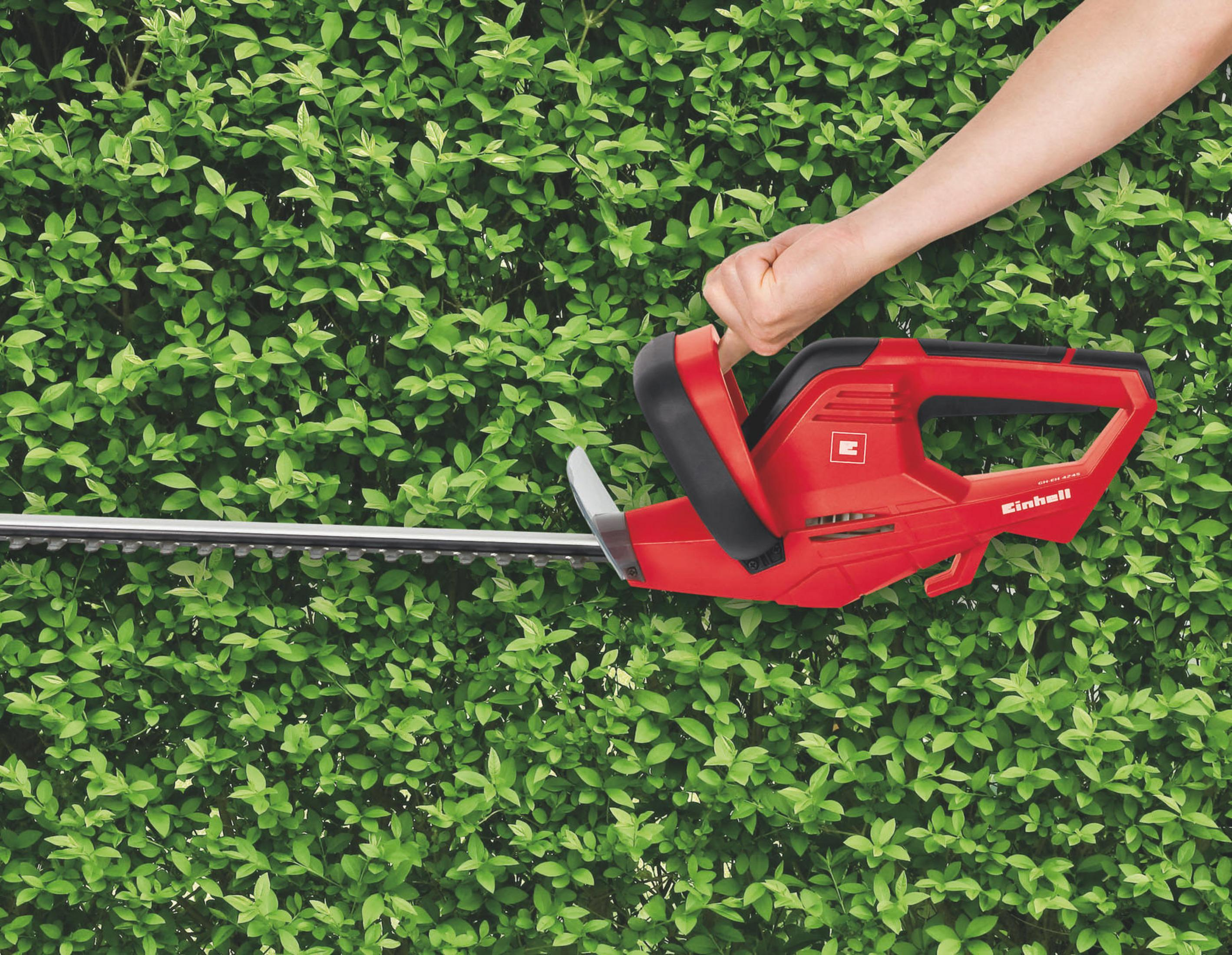 Ręka osoby używającej czerwonych nożyc do żywopłotu na zielonym żywopłocie. Żywopłot jest gęsty.