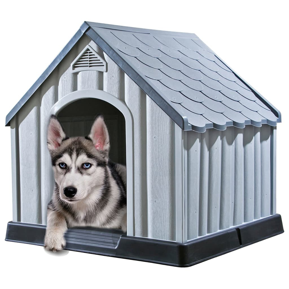 Ein Husky-Welpe in einem Hundehäuschen. Der Hund blickt mit blauen Augen aus dem Eingang.