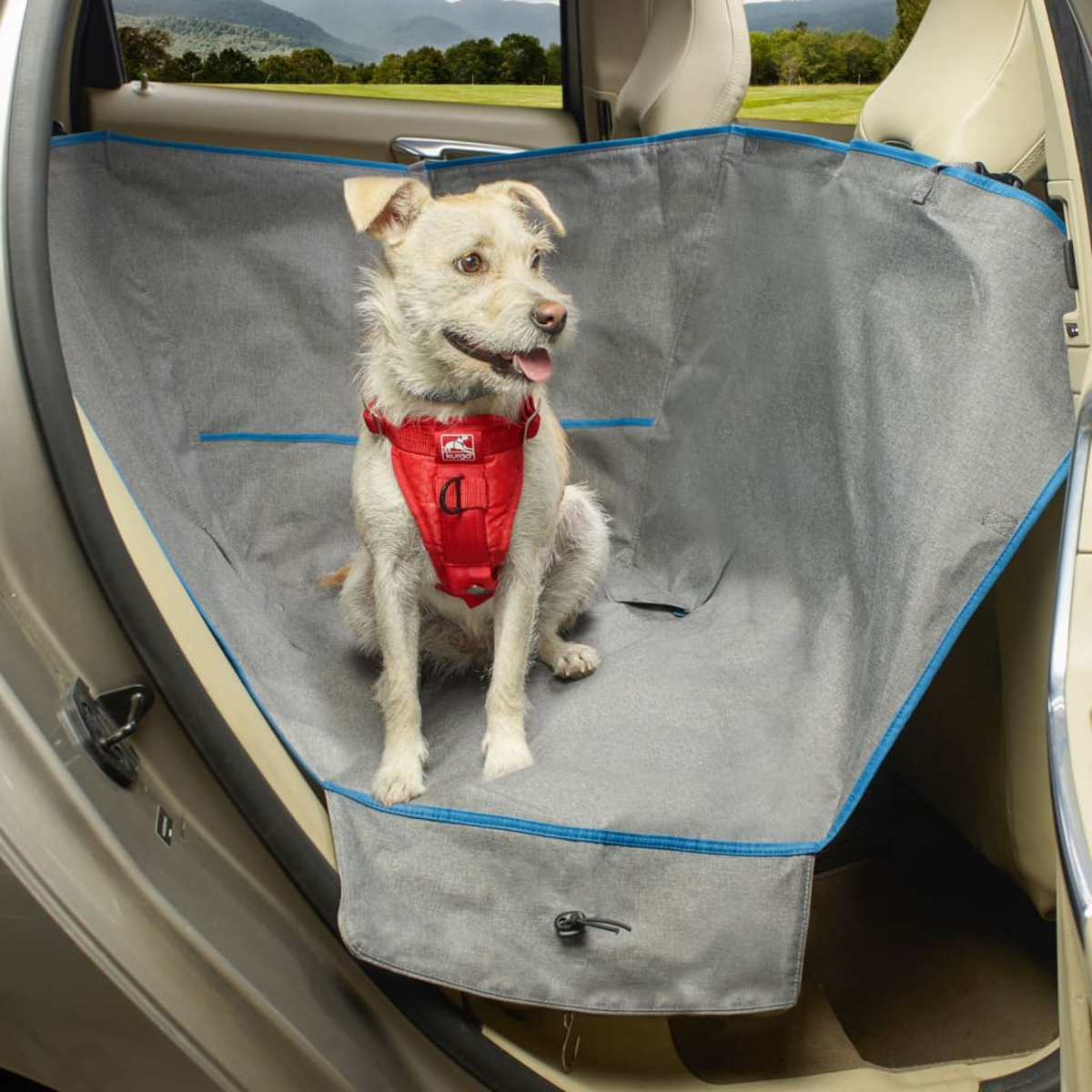 Hund im Auto, trägt rotes Geschirr, sitzt auf grauem Autositzbezug.