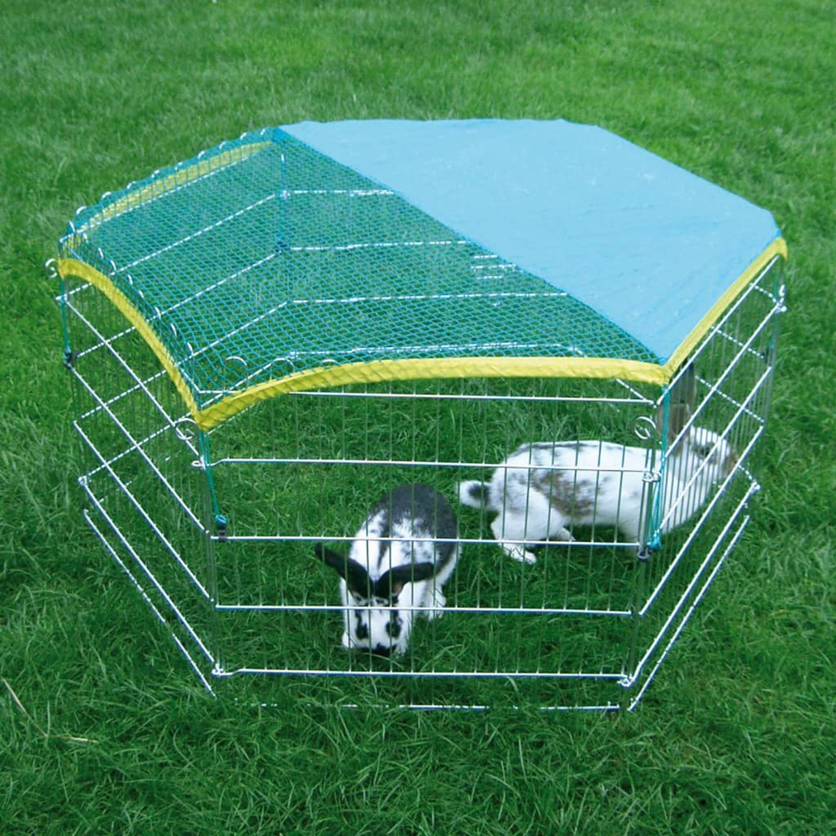 Zwei Kaninchen in einem Drahtkäfig mit einem blau-gelben Baldachin auf grünem Gras.