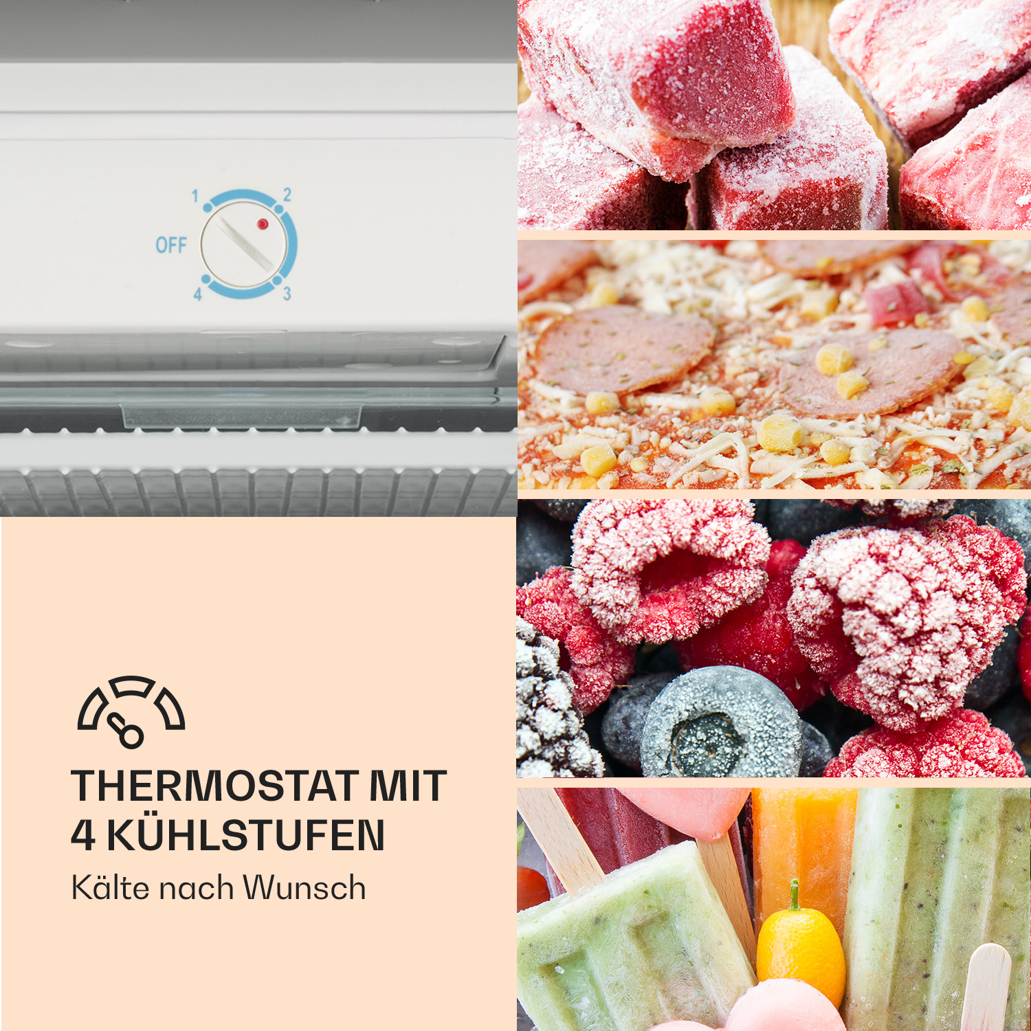 Nahaufnahme eines Thermostats mit Etiketten und Bildern von Tiefkühlkost, inkl. Fleisch, Pizza, Beeren.