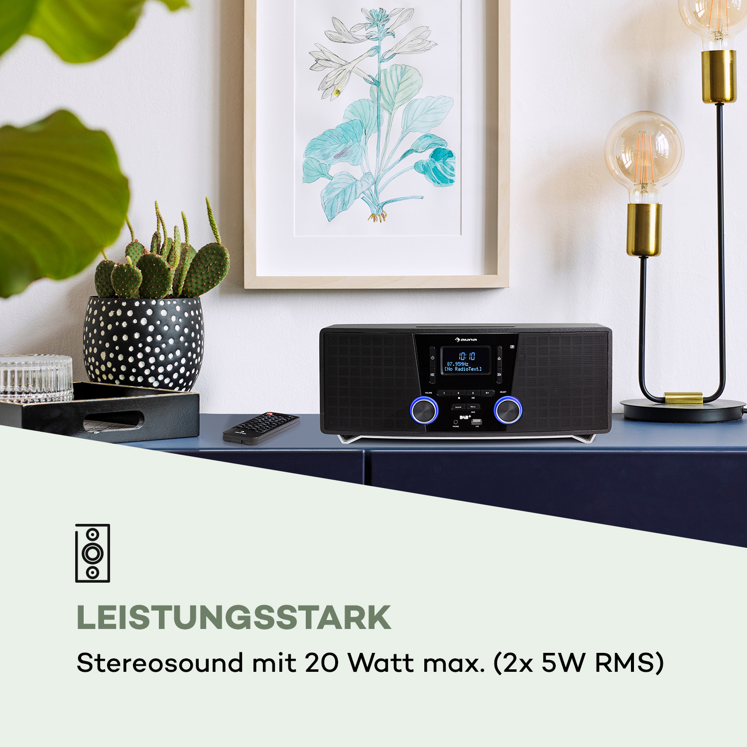 Schwarzes Stereo auf blauem Schrank, Bild, Kaktus, Fernbedienung.