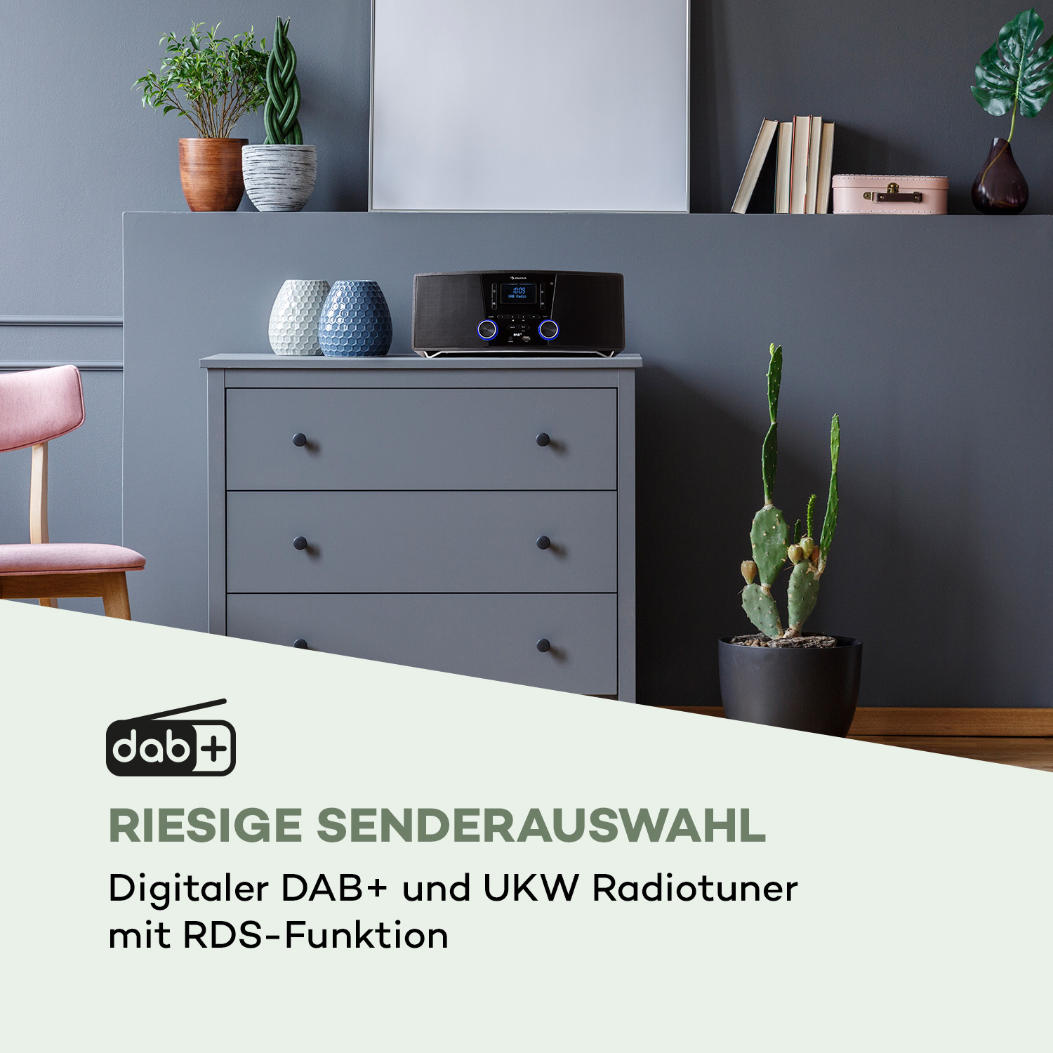 Stereoanlage auf grauem Schrank. Pflanzen, Bilderrahmen. Text: riesige Senderauswahl.