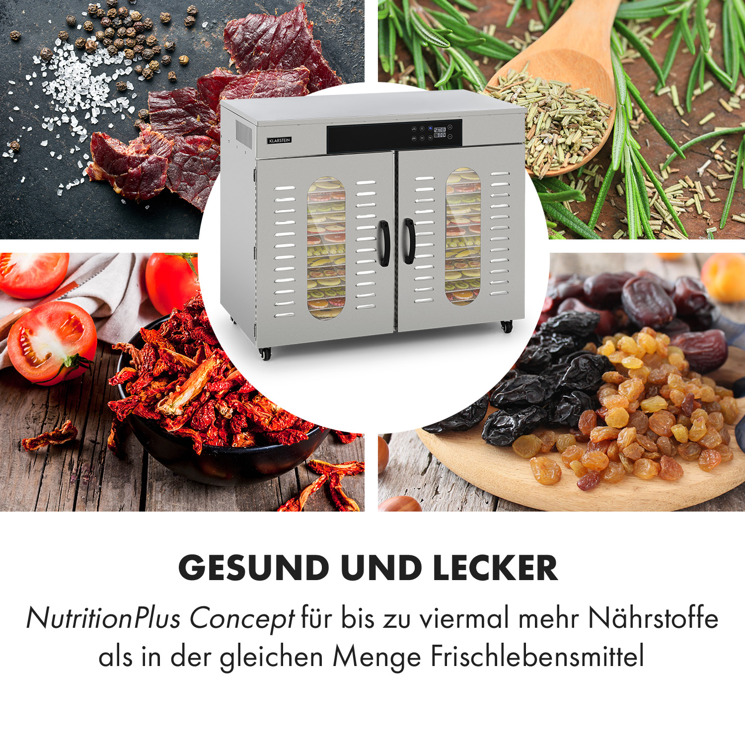 Cibo essiccato e un essiccatore per alimenti. Testo: Sano e delizioso. Concetto per fino a 4 volte più nutrienti.