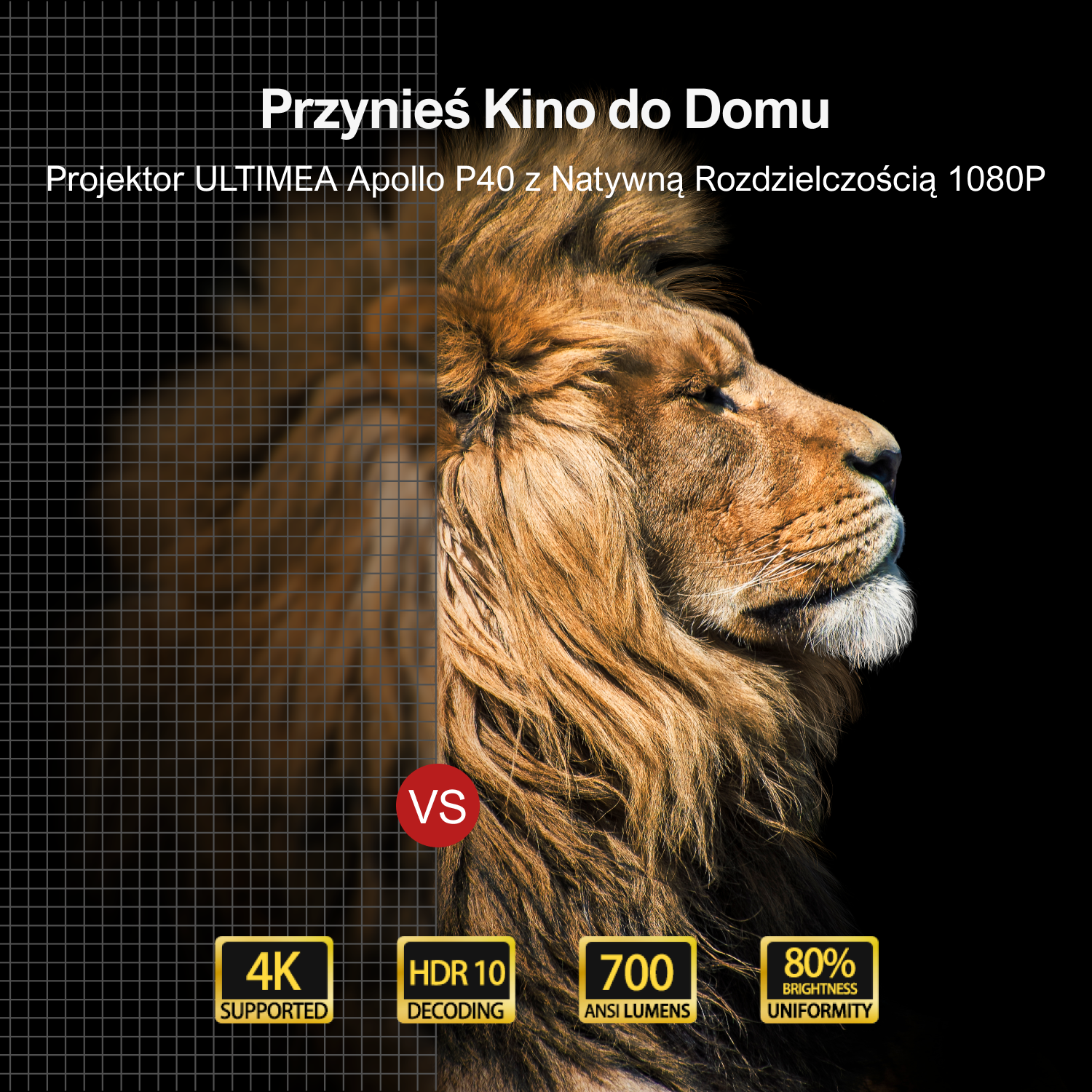 Twarz lwa jest porównywana z rozmytym obrazem, ze specyfikacjami takimi jak obsługa 4k.