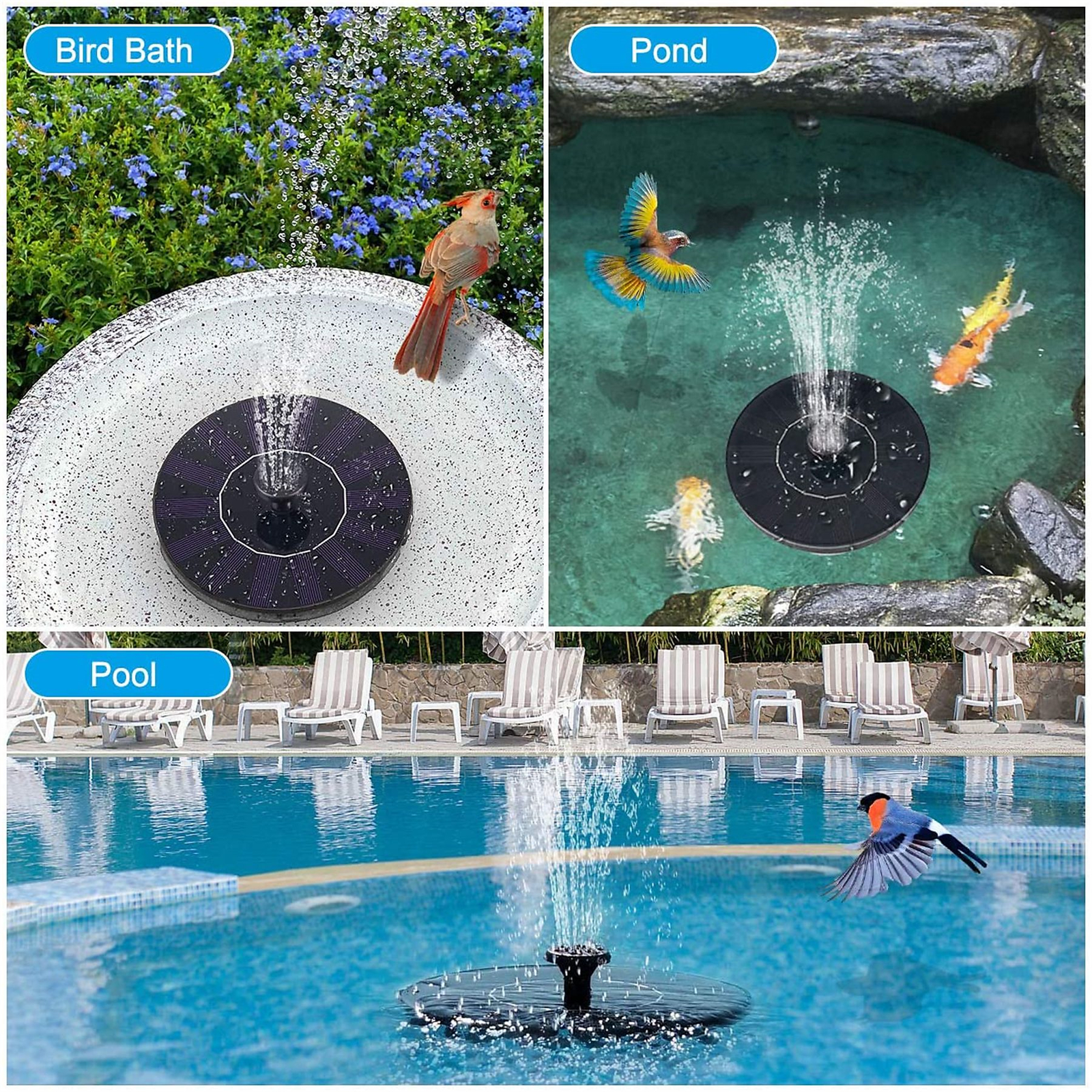 Solarbrunnen in Vogelbad, Teich und Pool. Vögel und Fische sind sichtbar. Blauer Himmel im Hintergrund.