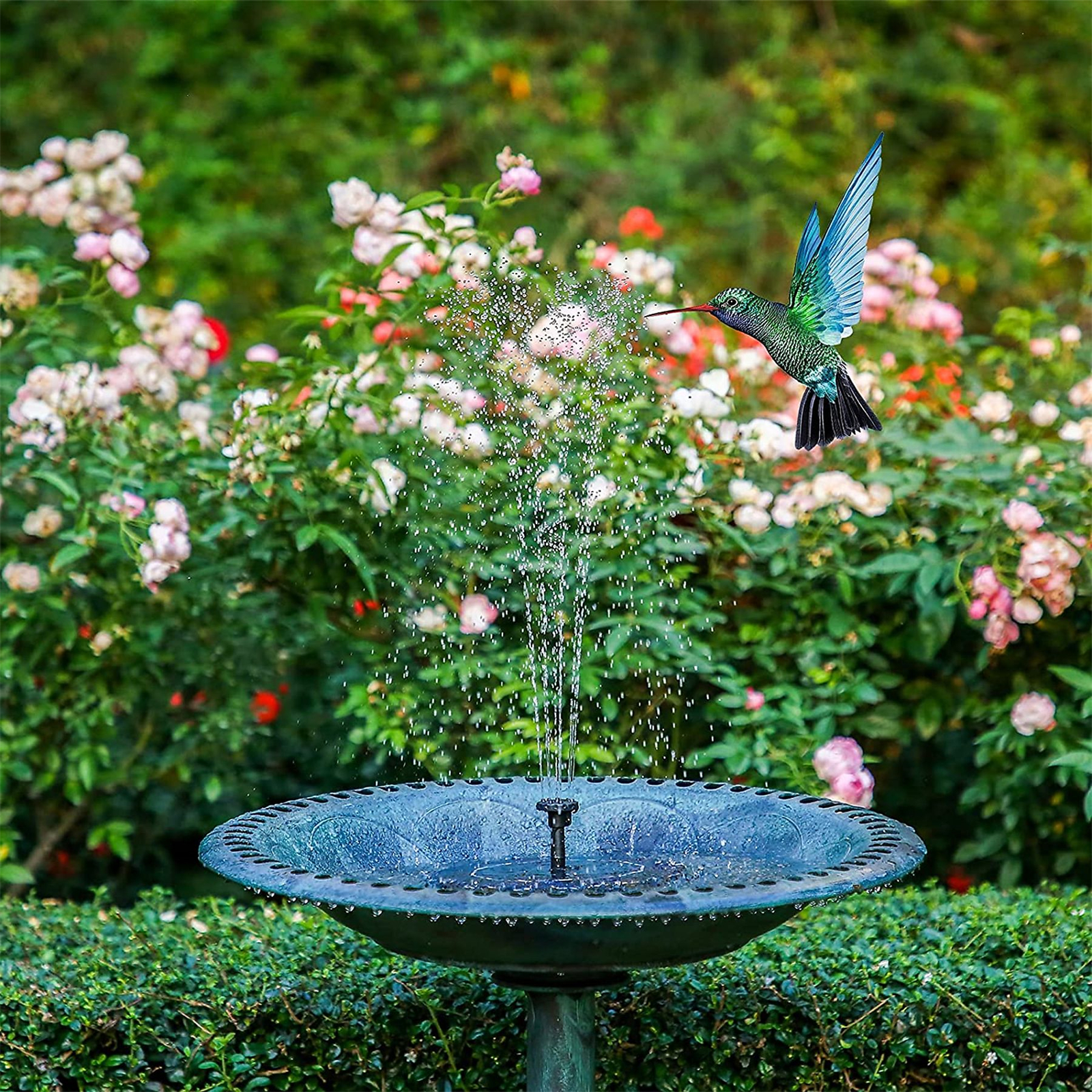 Ein Kolibri trinkt Wasser aus einem Brunnen, umgeben von Blumen und grünen Büschen.