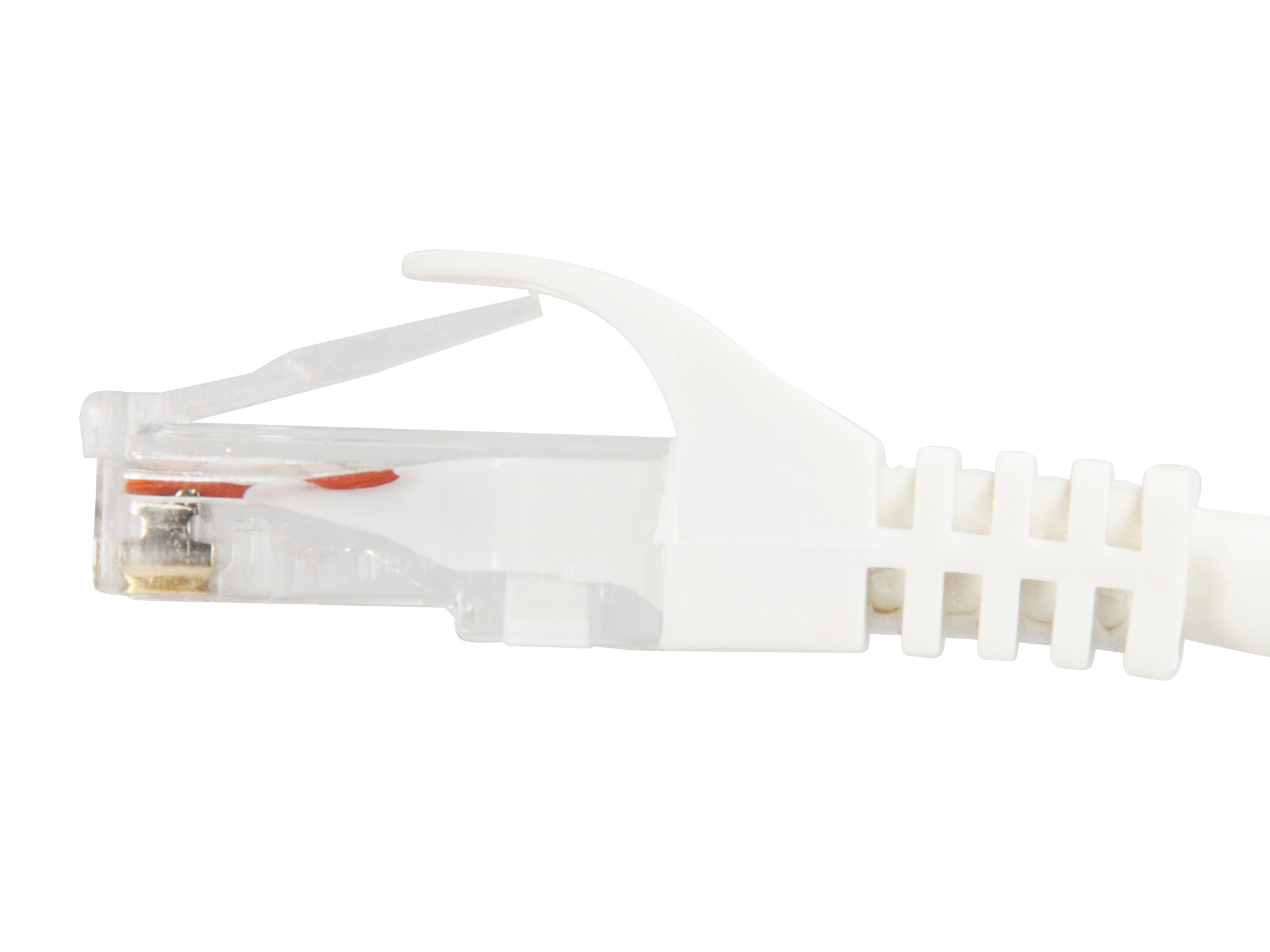 Een close-up van een witte Ethernet-kabelconnector, met de heldere plastic kop en gekleurde draden.