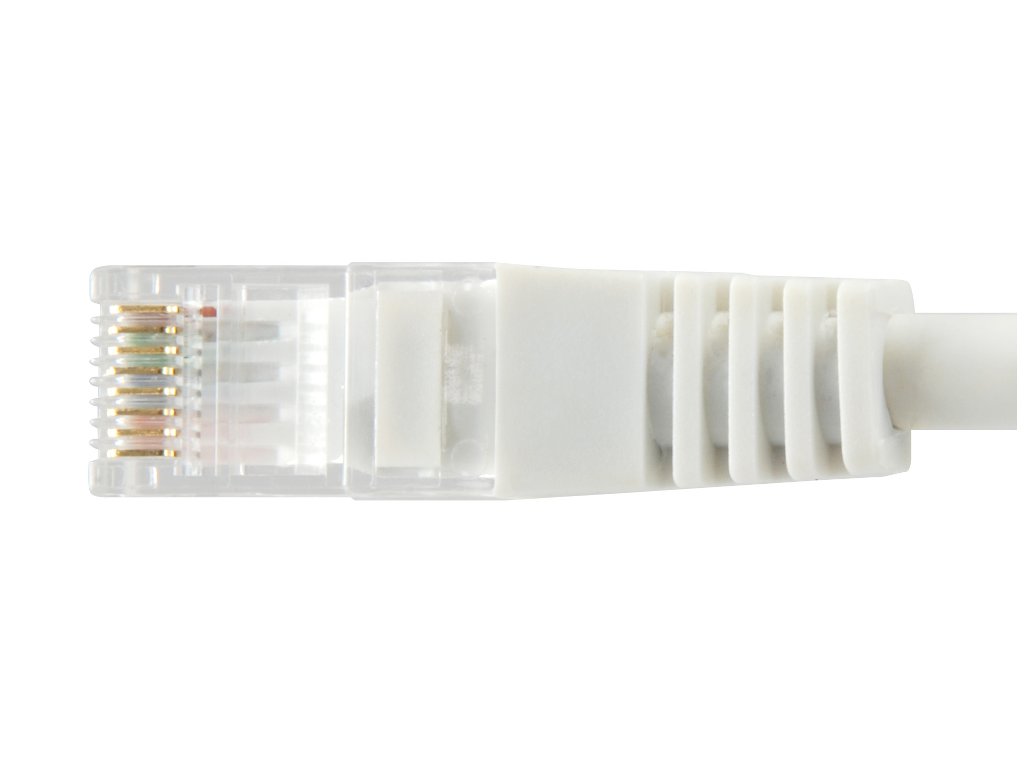 Close-up van een witte Ethernet-kabel met transparante RJ45-connector. Gouden pinnen zijn zichtbaar in de connector.