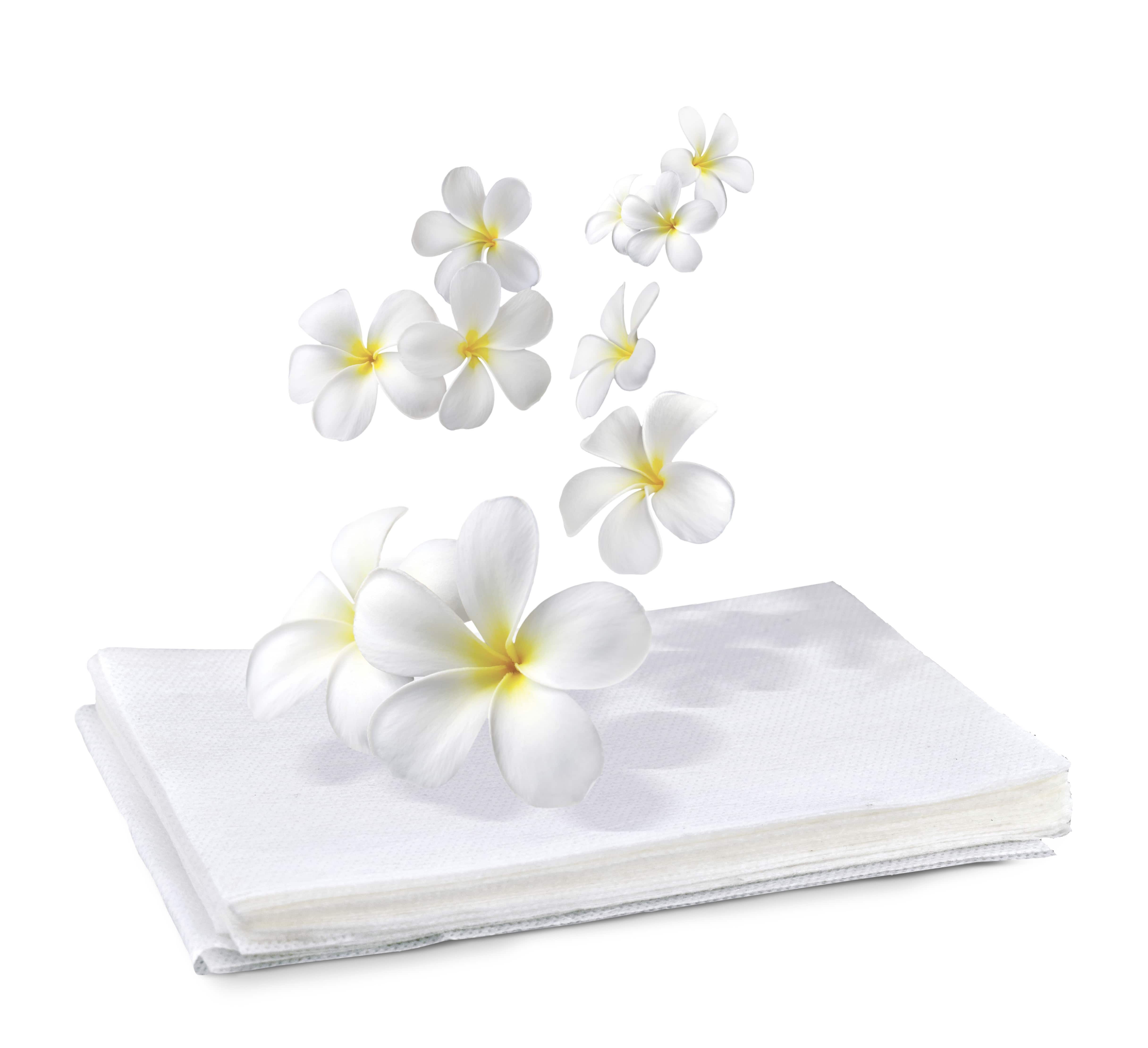 Białe chusteczki do prania z opadającymi białymi kwiatami.