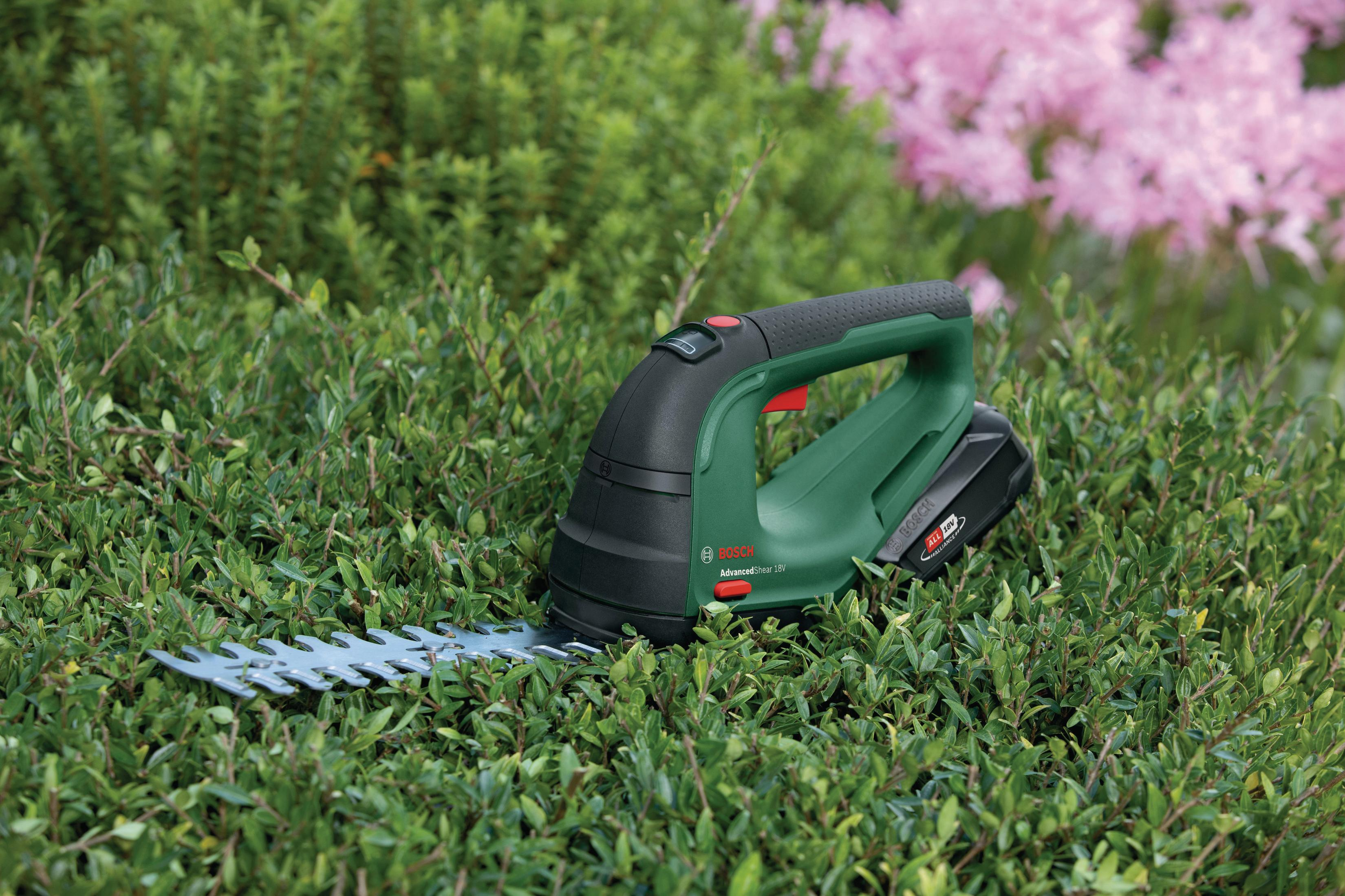 Zielono-czarne nożyce do żywopłotu Bosch na zielonym żywopłocie z różowymi kwiatami w tle.