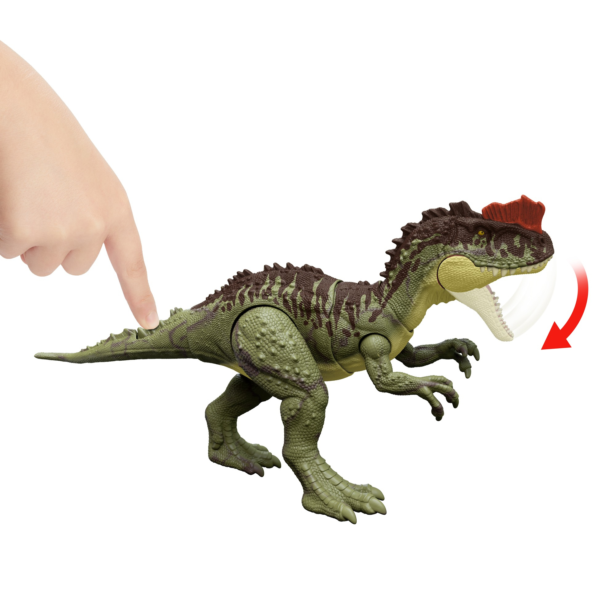 Dinosaurier-Spielzeug mit Hand, die auf den Rücken zeigt, Kiefer geöffnet.