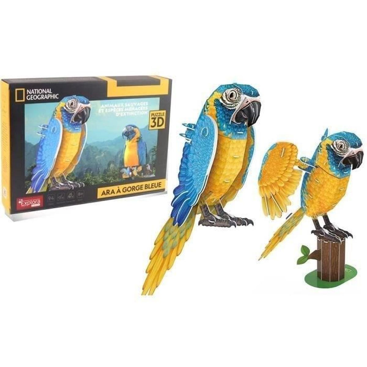 Puzzle di ara blu e gialla con scatola. Due pappagalli assemblati e una scatola con immagine.