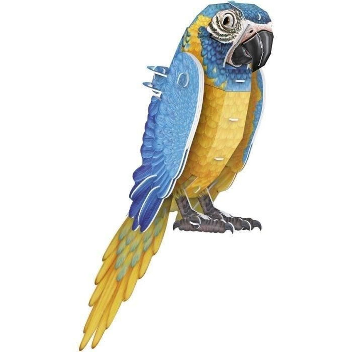 Viene mostrato un puzzle di pappagallo colorato, con colori blu, giallo e bianco. È in posizione eretta.
