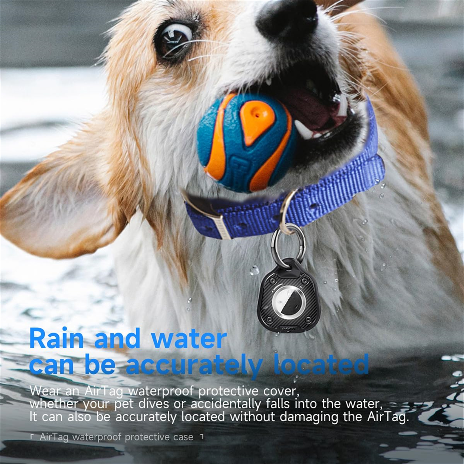 Hund im Wasser mit Ball und AirTag-Hülle am Halsband. Text: Regen- und Wasserortung.