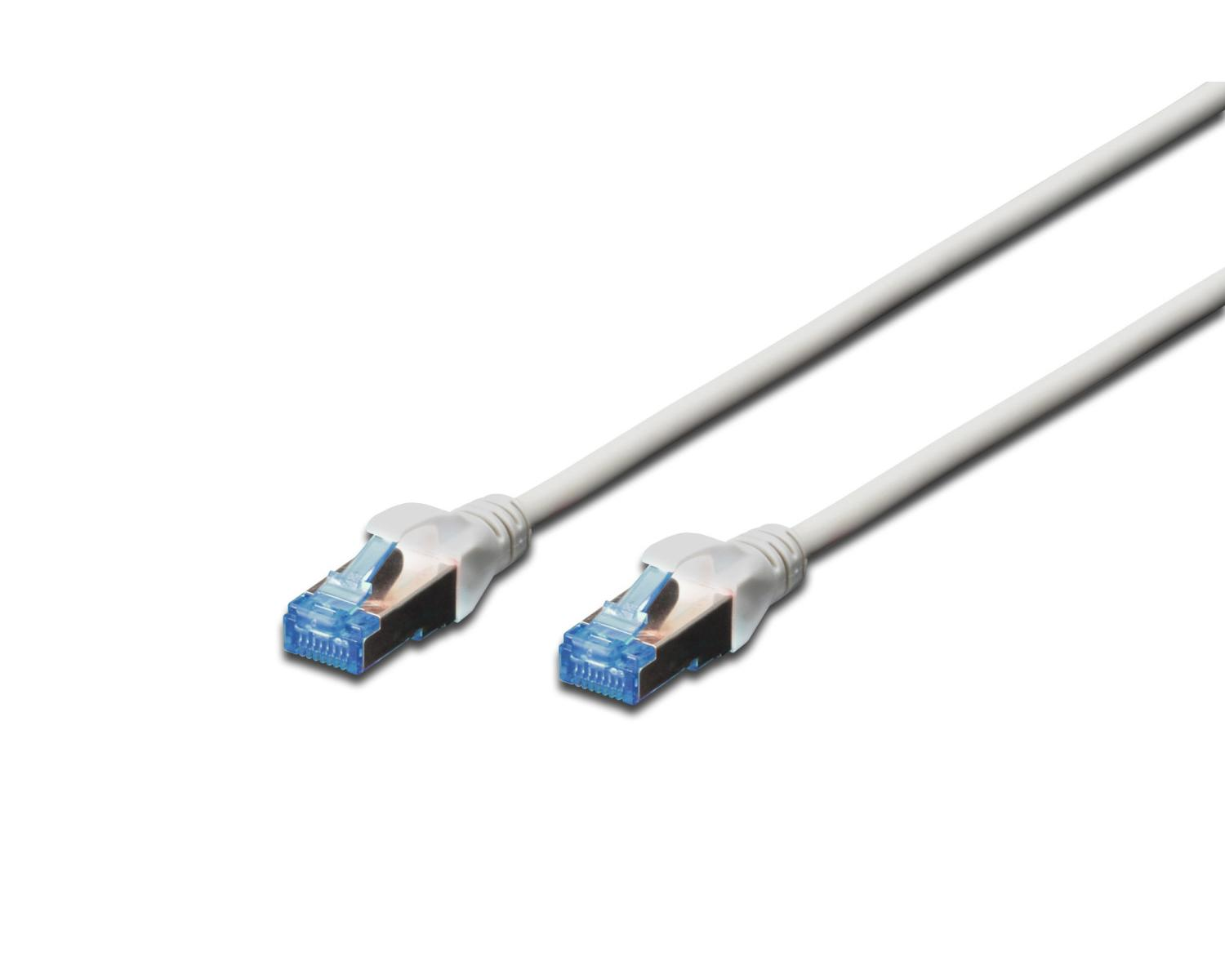 Due cavi di rete bianchi con connettori blu. Isolati su sfondo bianco.