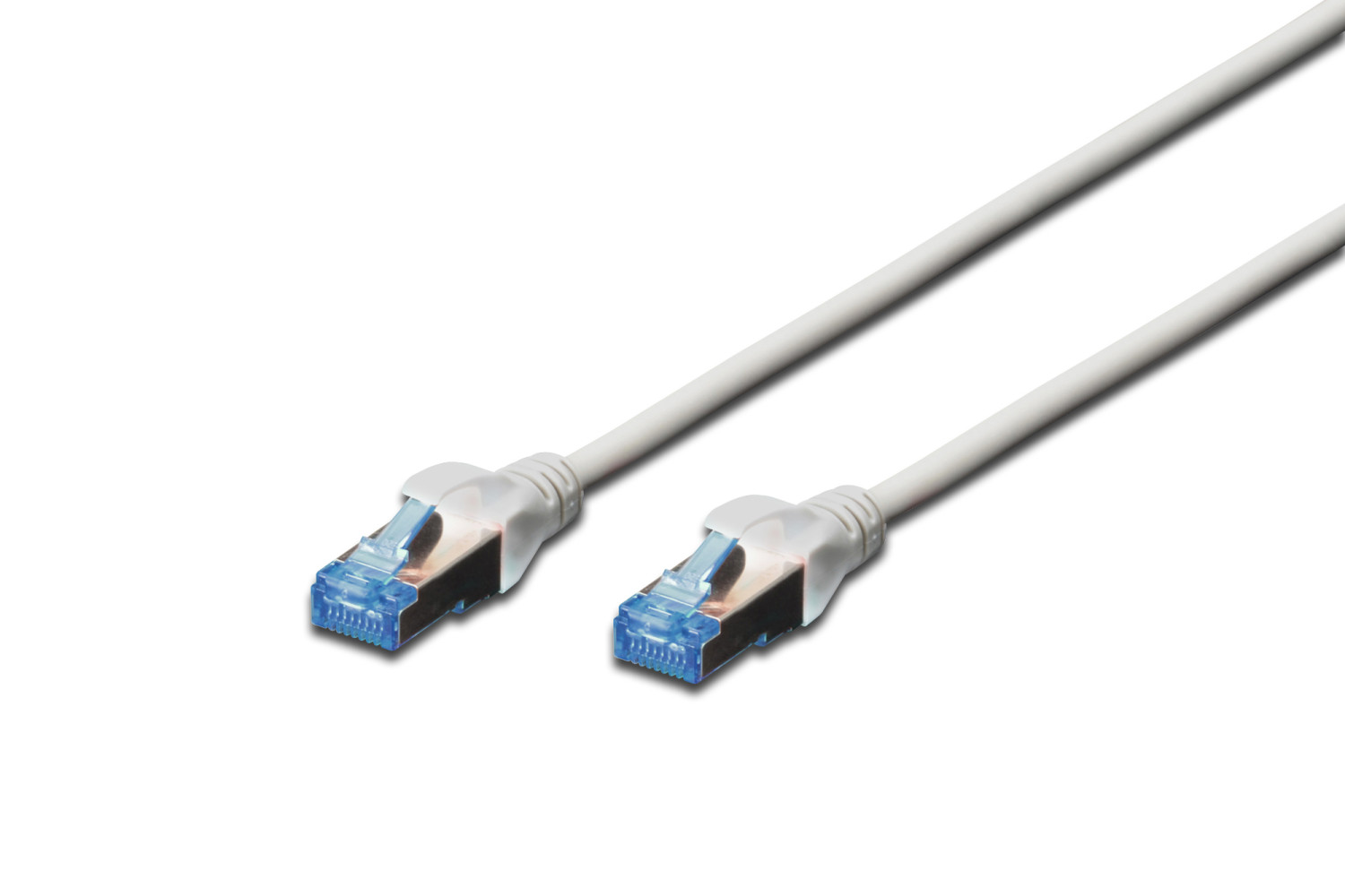 Due cavi di rete bianchi con connettori blu. Isolati su sfondo bianco.