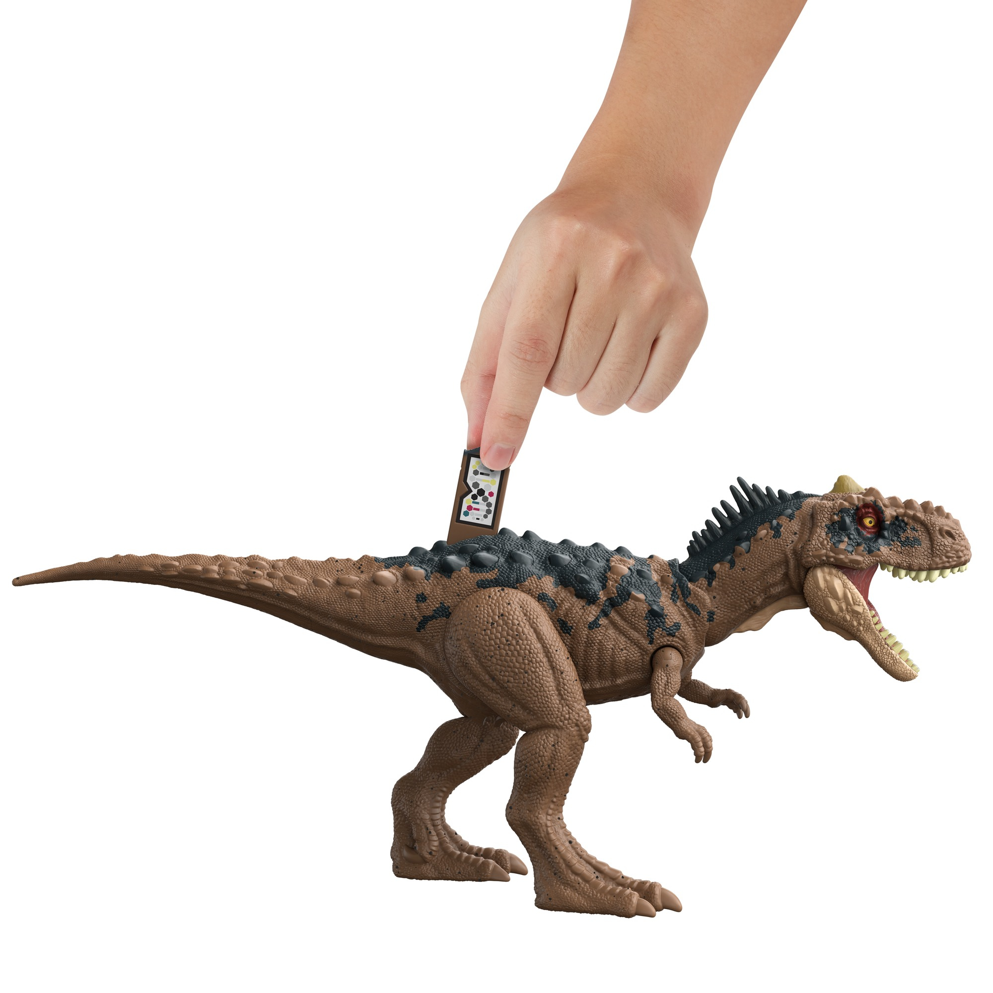 Una mano posiziona un'etichetta su un dinosauro giocattolo. Il dinosauro è marrone con segni scuri. Sfondo bianco.