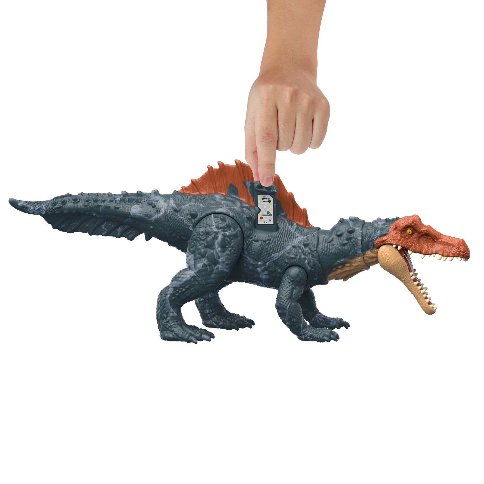 Una mano che tocca un giocattolo di dinosauro, con un adesivo sulla schiena.