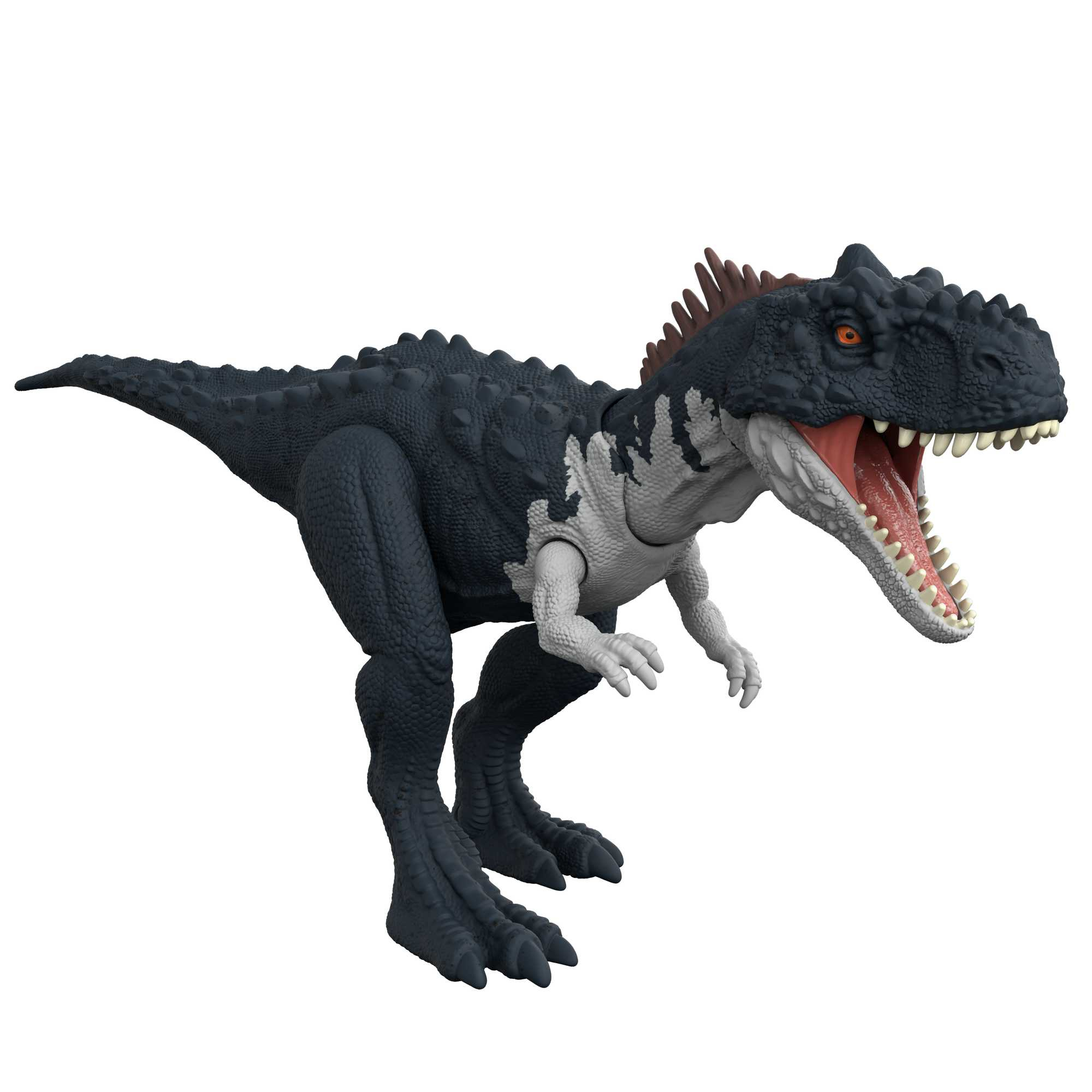 Un giocattolo di dinosauro blu scuro con cresta rossa e marrone, bocca aperta e denti bianchi, su bianco.