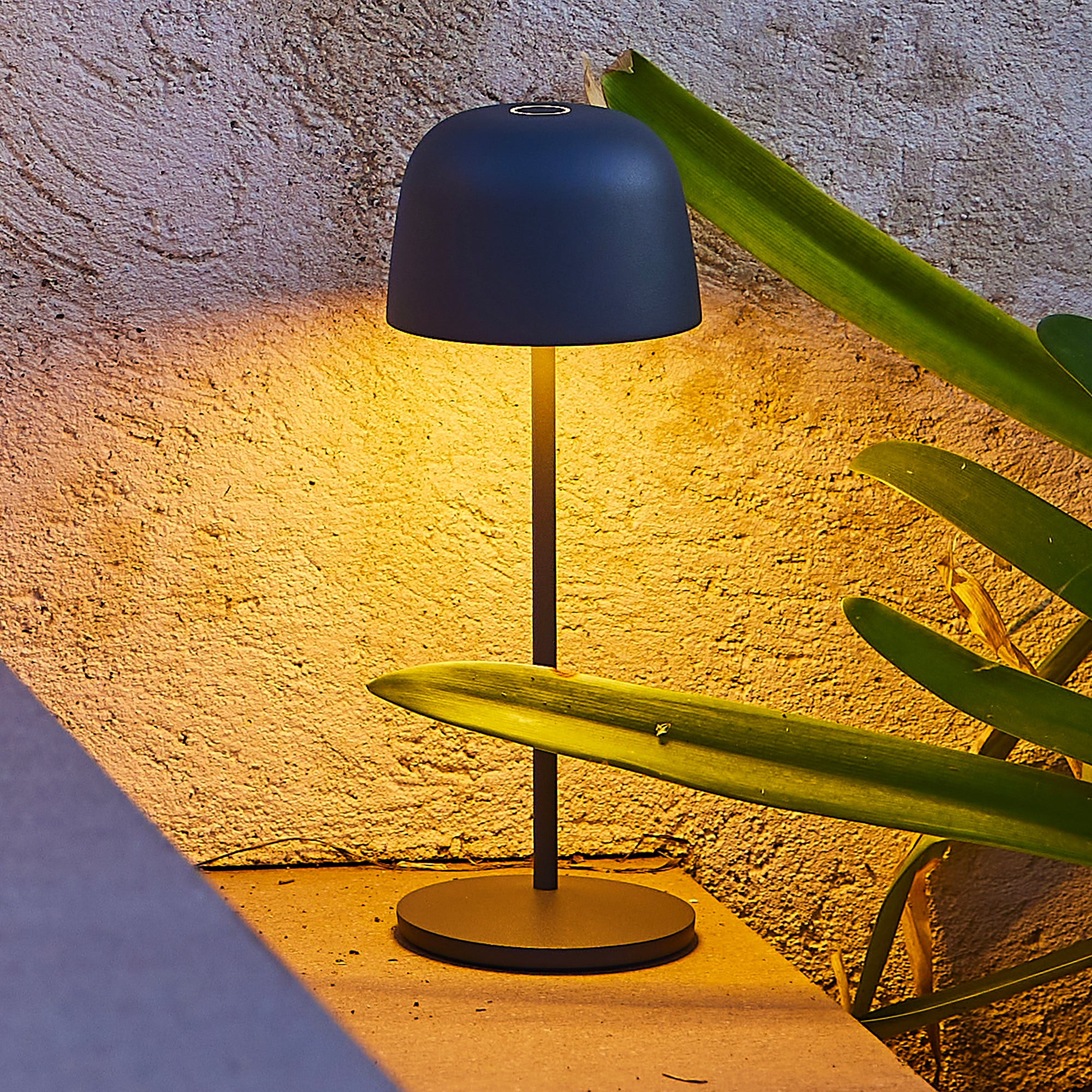 Eine schwarze Lampe mit rundem Schirm auf einem schwarzen Ständer. Im Hintergrund grüne Blätter.