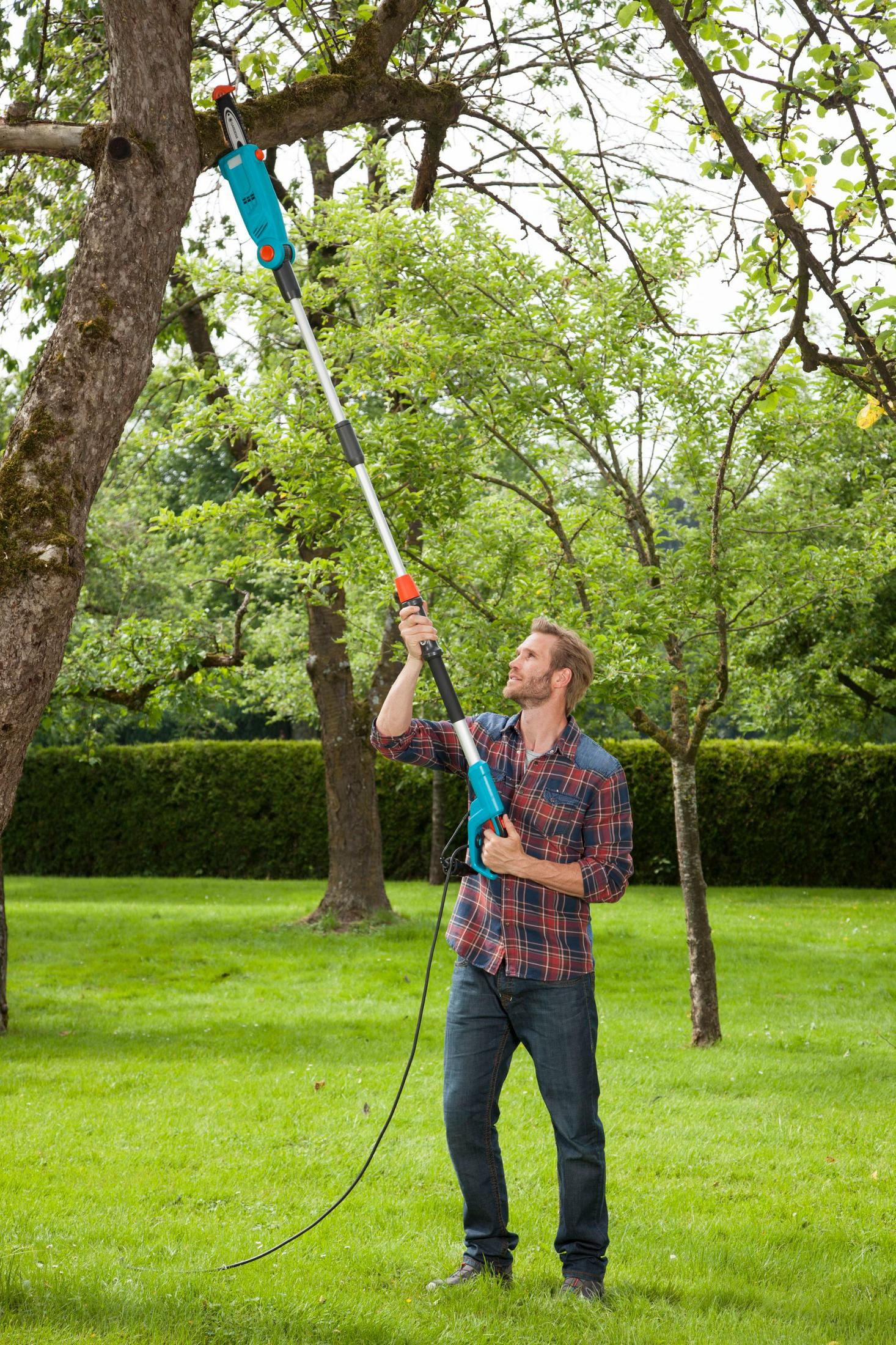Un uomo che pota un albero con una sega a pertica elettrica in un giardino erboso e verde.