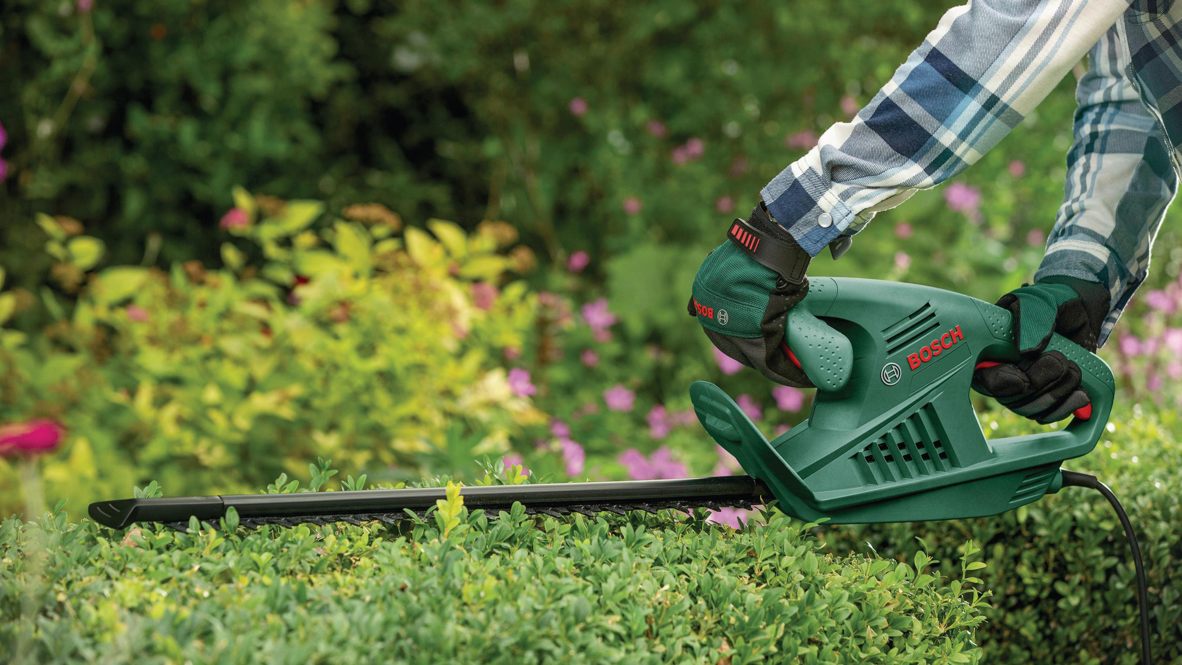 Mains gantées utilisant un taille-haie Bosch vert pour tailler une haie, à l'extérieur.
