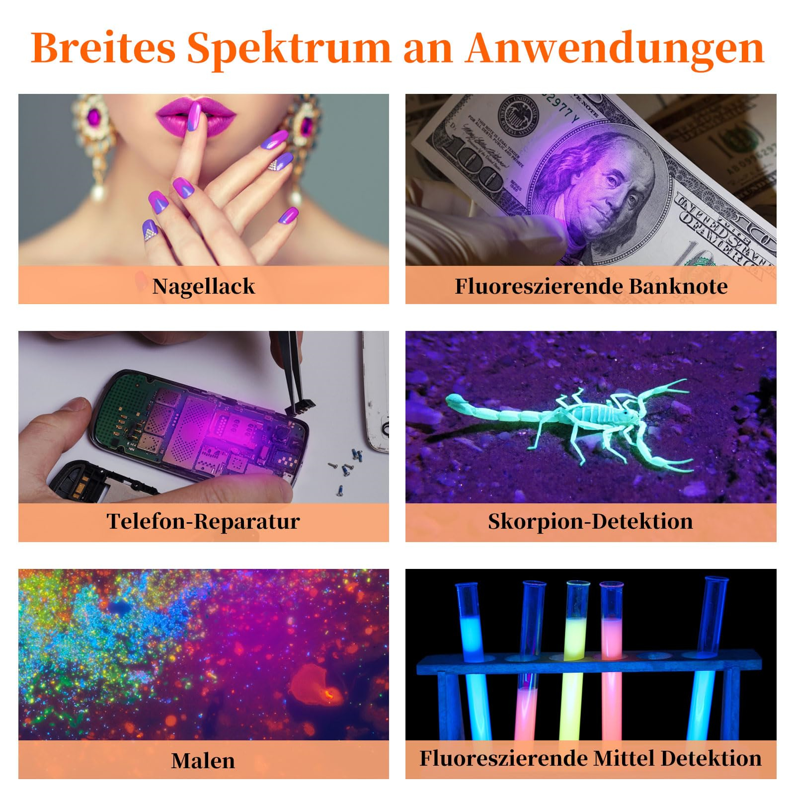 Bilder zeigen die Verwendung von UV-Licht: Nagellack, fluoreszierendes Geld, Handy-Reparatur, Skorpion-Erkennung, Malerei, Reagenzgläser.