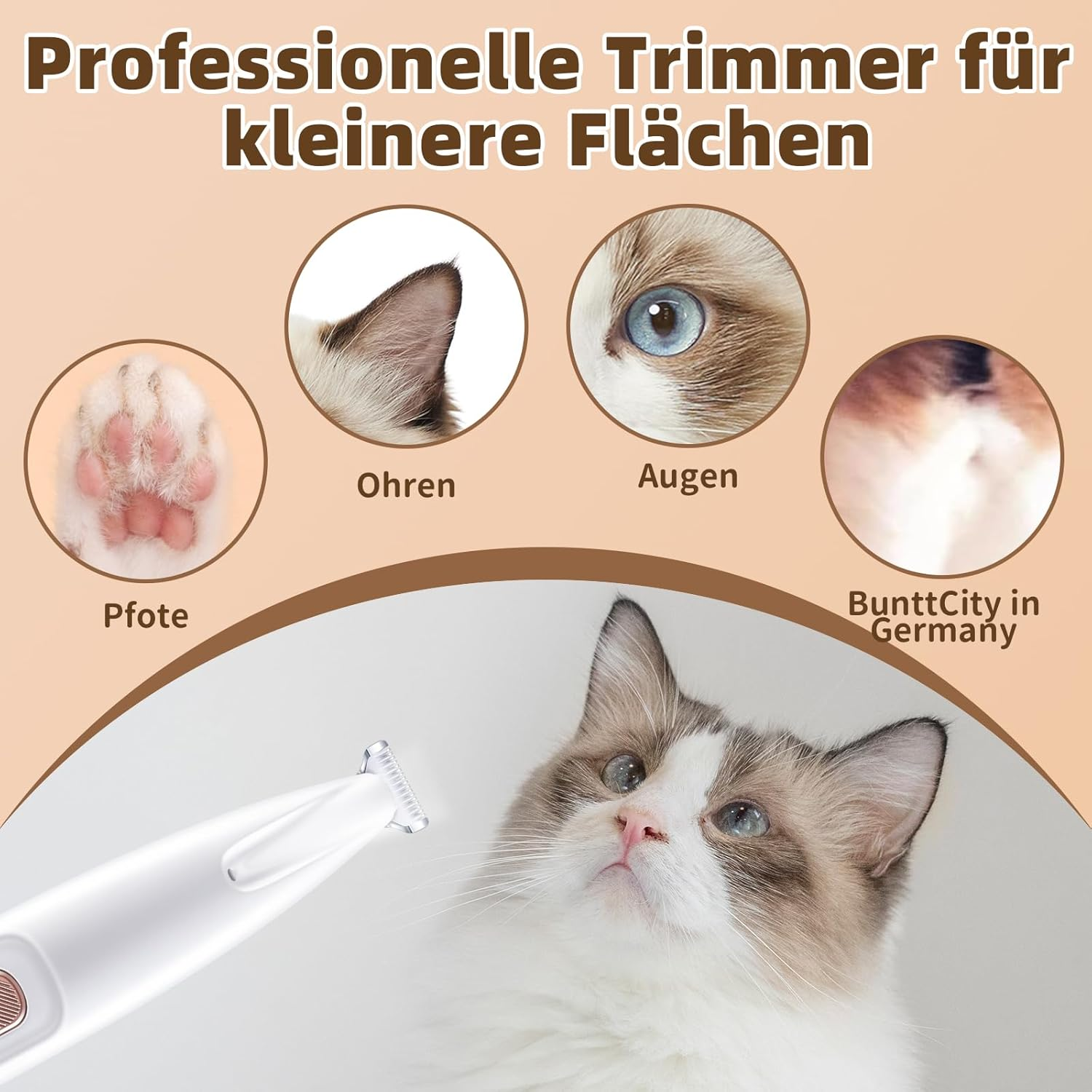 Nahaufnahmen von Katzenpfote, Ohr, Auge und Fell mit einem Haustierpflegegerät darunter.