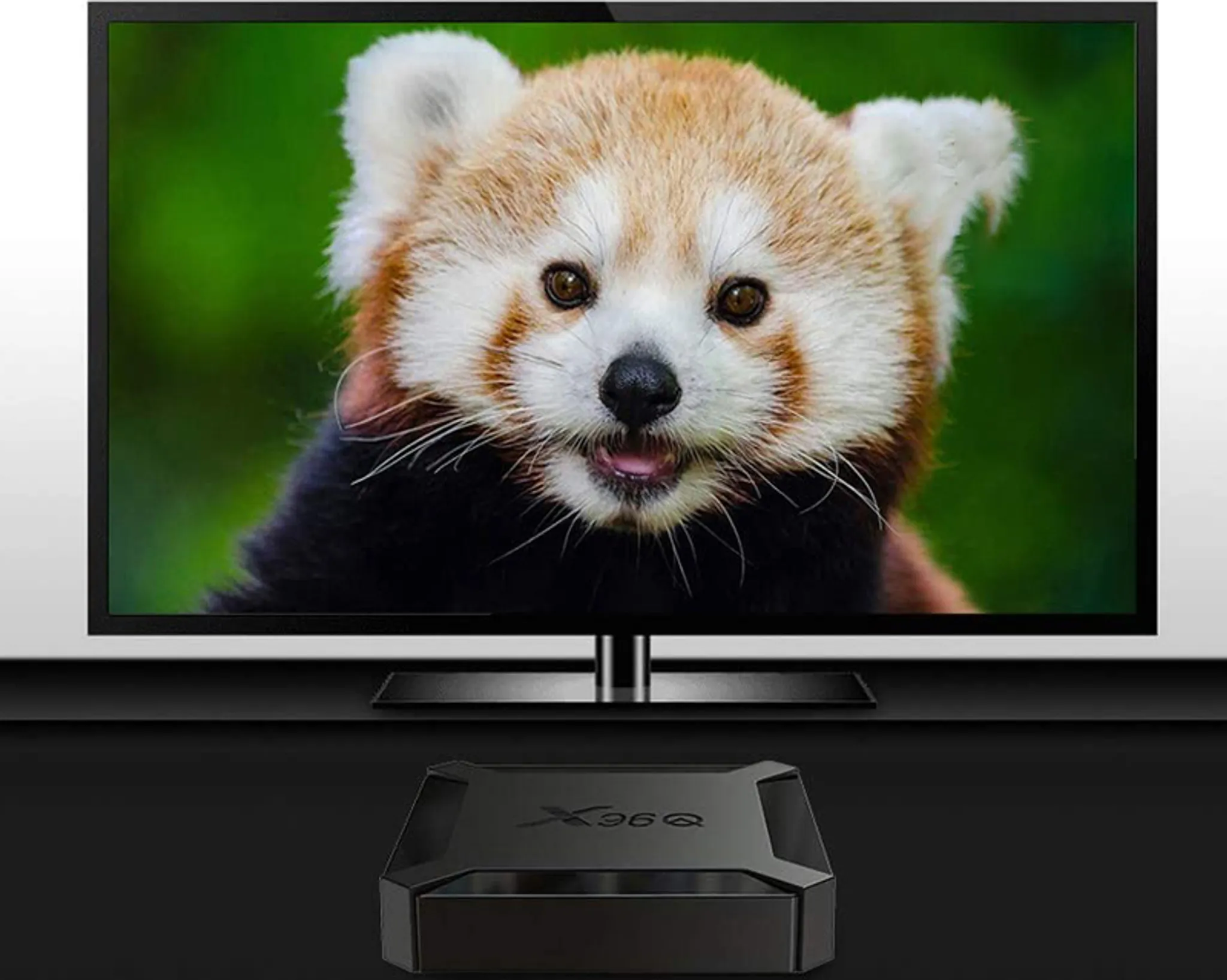 Ein roter Panda ist auf einem Fernsehbildschirm zu sehen, mit einer schwarzen Set-Top-Box davor.