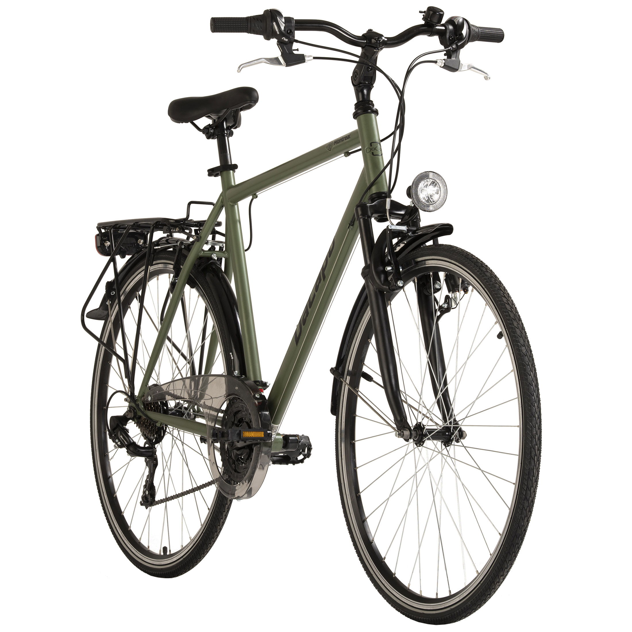 Grünes Citybike mit schwarzen Schutzblechen und Gepäckträger, Lichtern und schwarzem Rahmen, weißer Hintergrund.