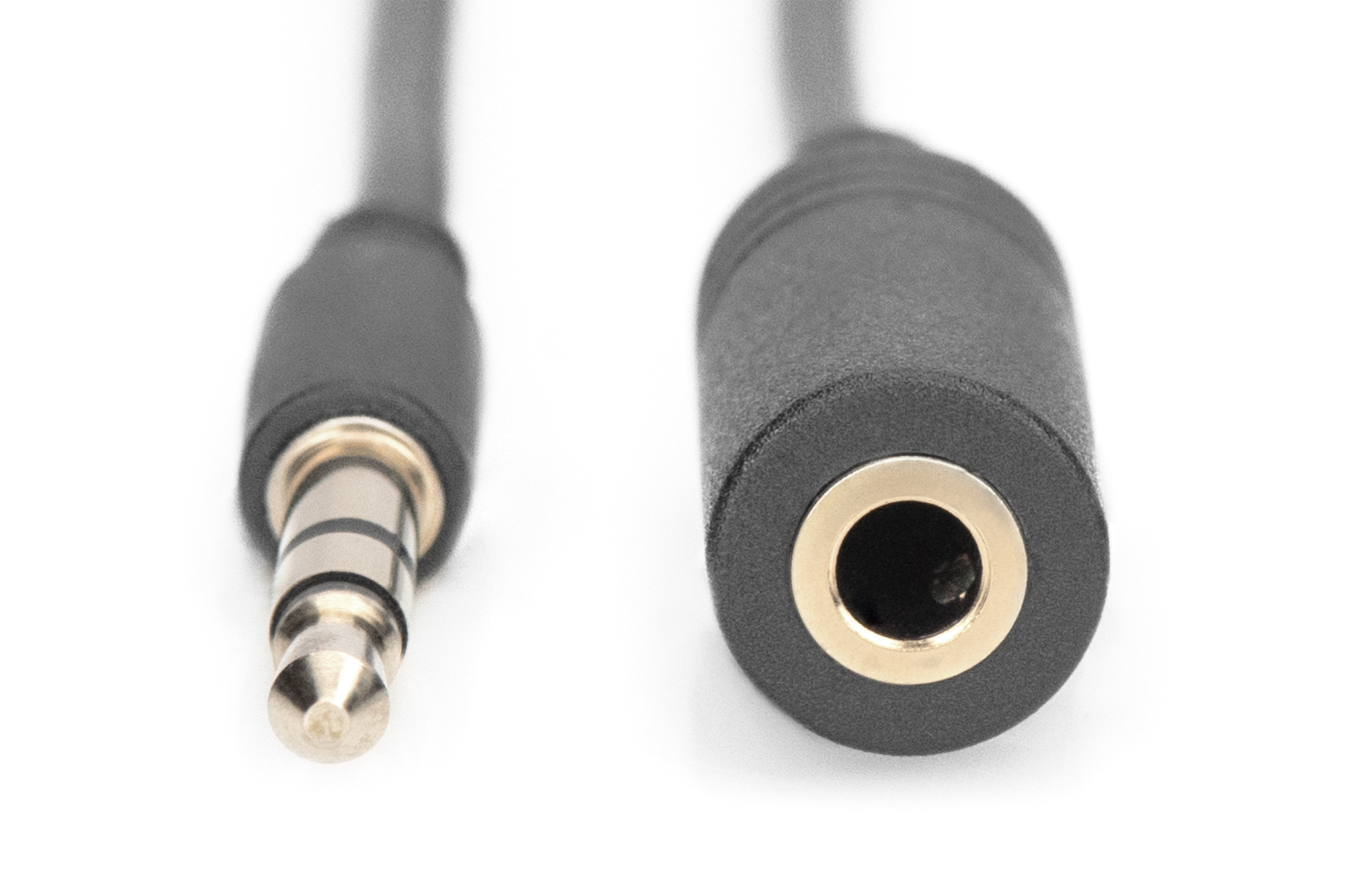 Cavo audio nero con jack da 3,5 mm e connettore femmina. Sfondo bianco.
