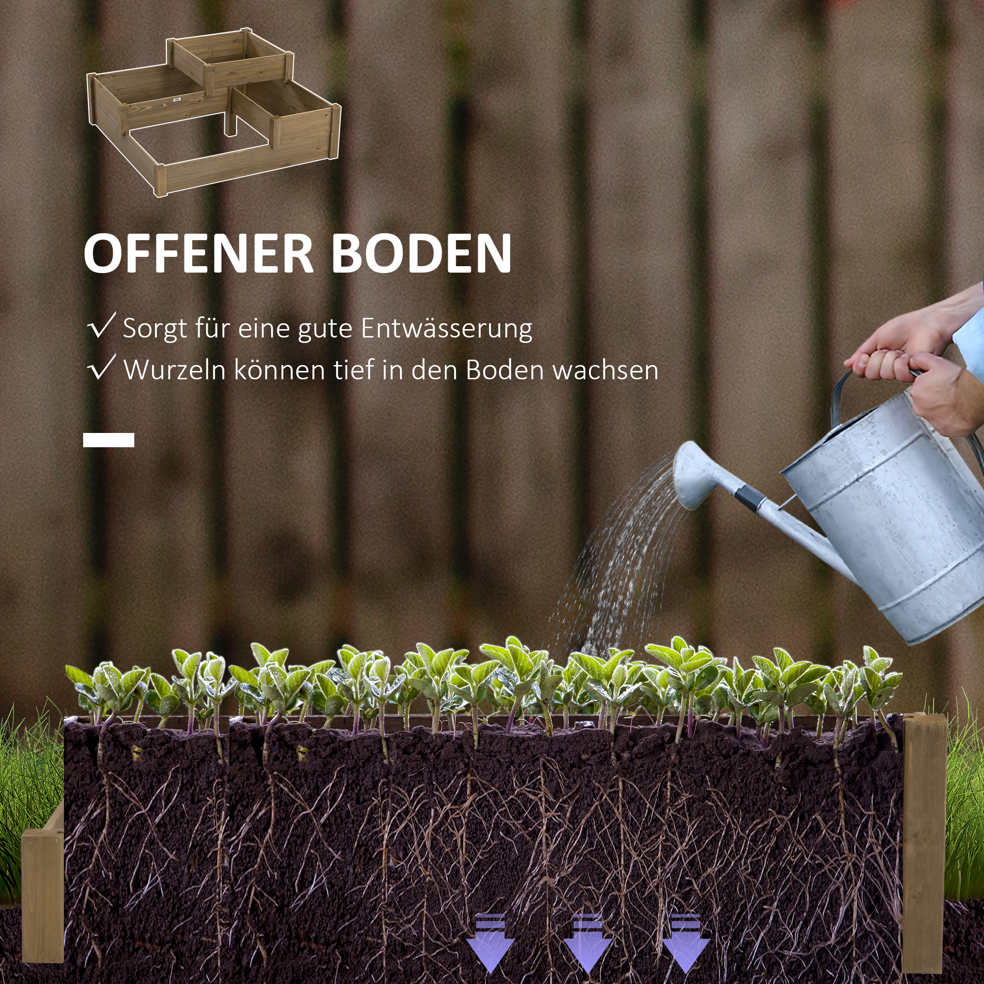 Ein Querschnitt eines Gartenbeets, der einen Holzrahmen, Erde, Wurzeln und Setzlinge beim Gießen zeigt.