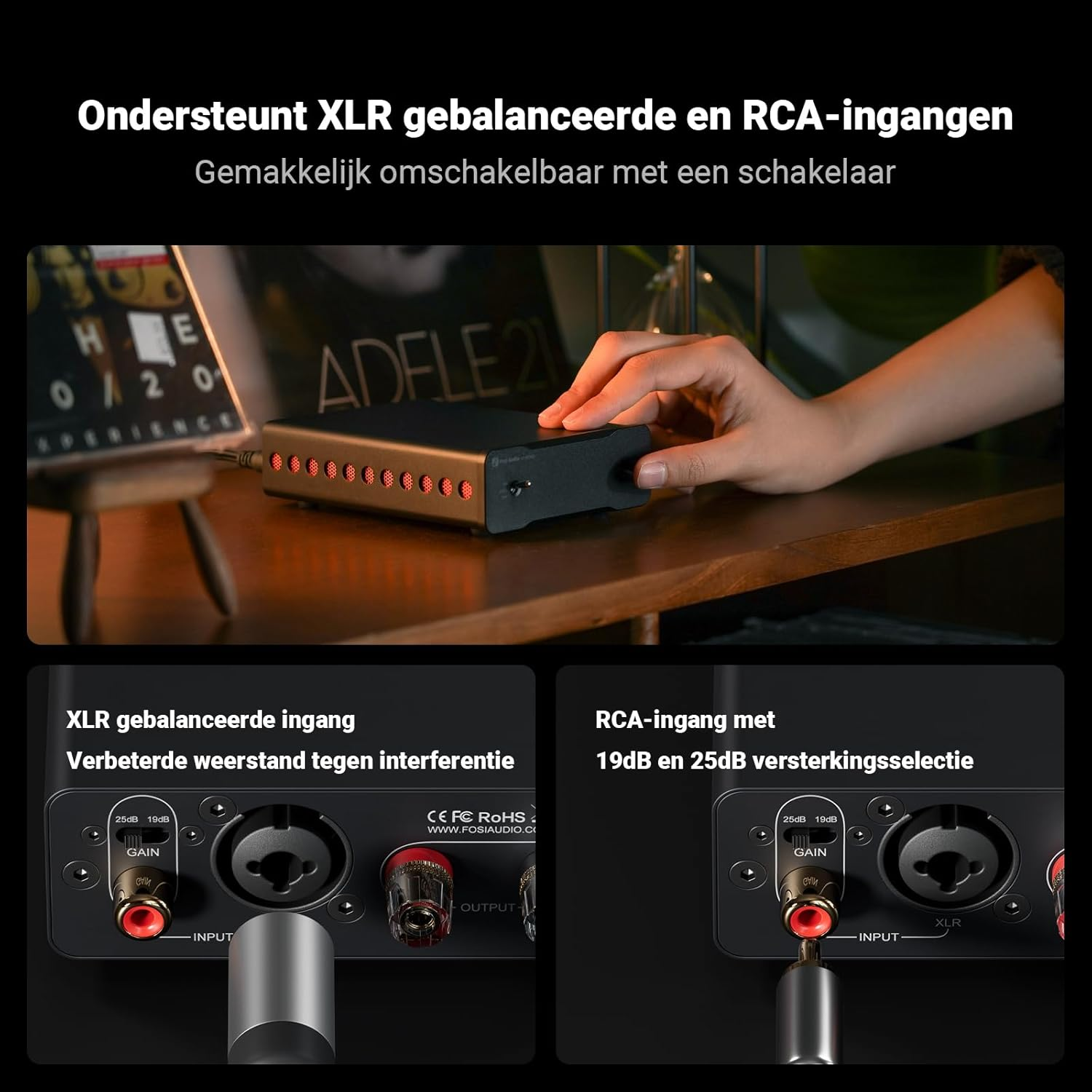 Gros plan de l'arrière d'un appareil audio montrant les ports d'entrée et de sortie avec des étiquettes de texte.