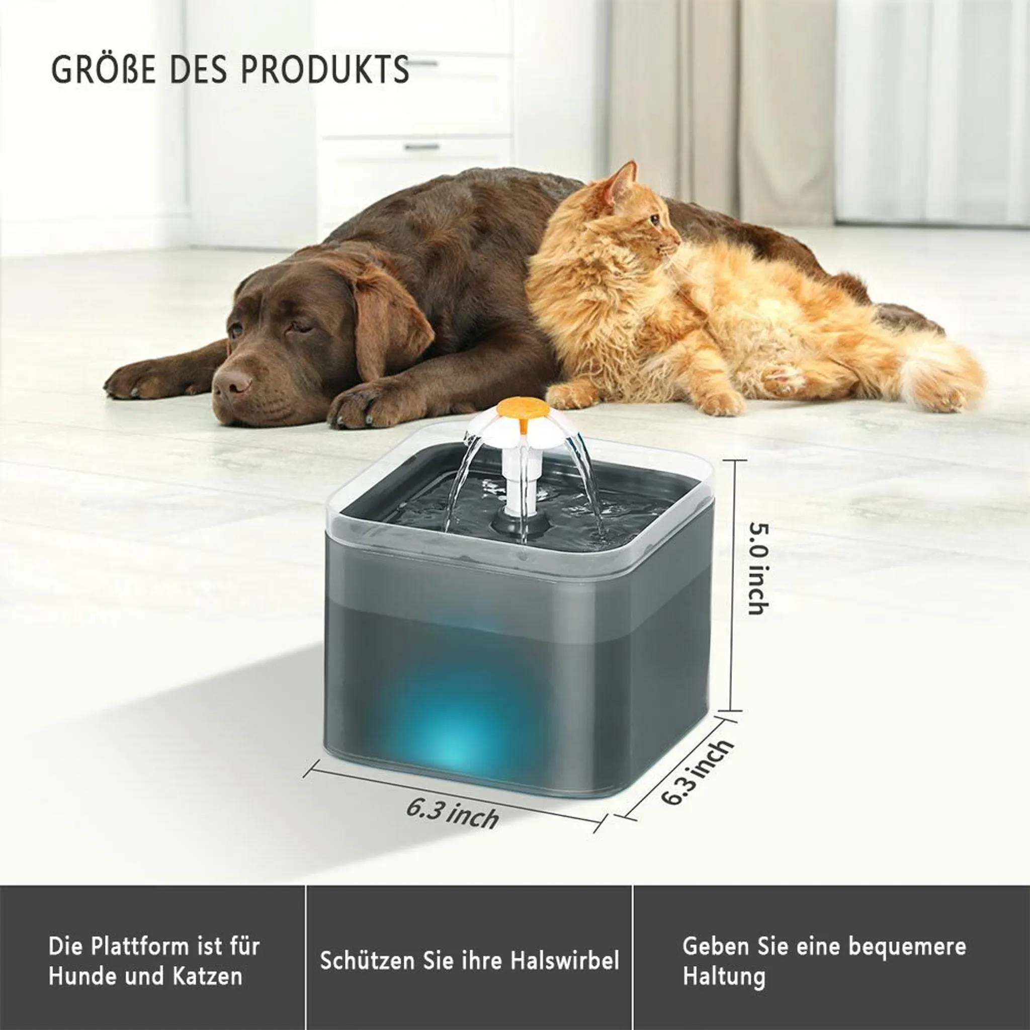 Ein Wasserbrunnen für Haustiere mit einem Hund und einer Katze in der Nähe.
