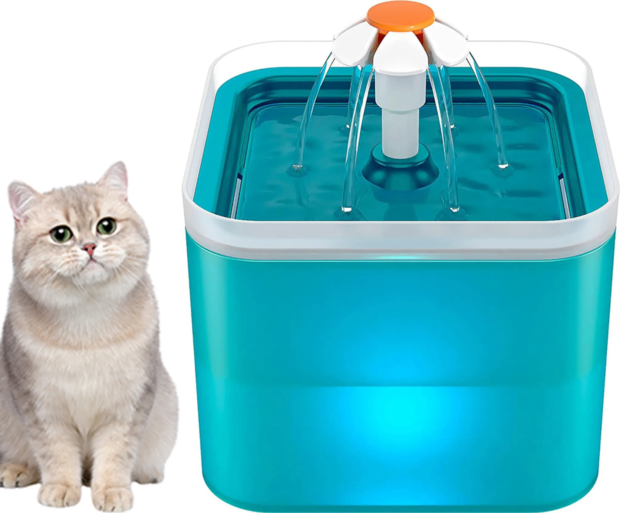 Eine Katze sitzt neben einem blauen Haustier-Wasserbrunnen, aus dem Wasser fließt.