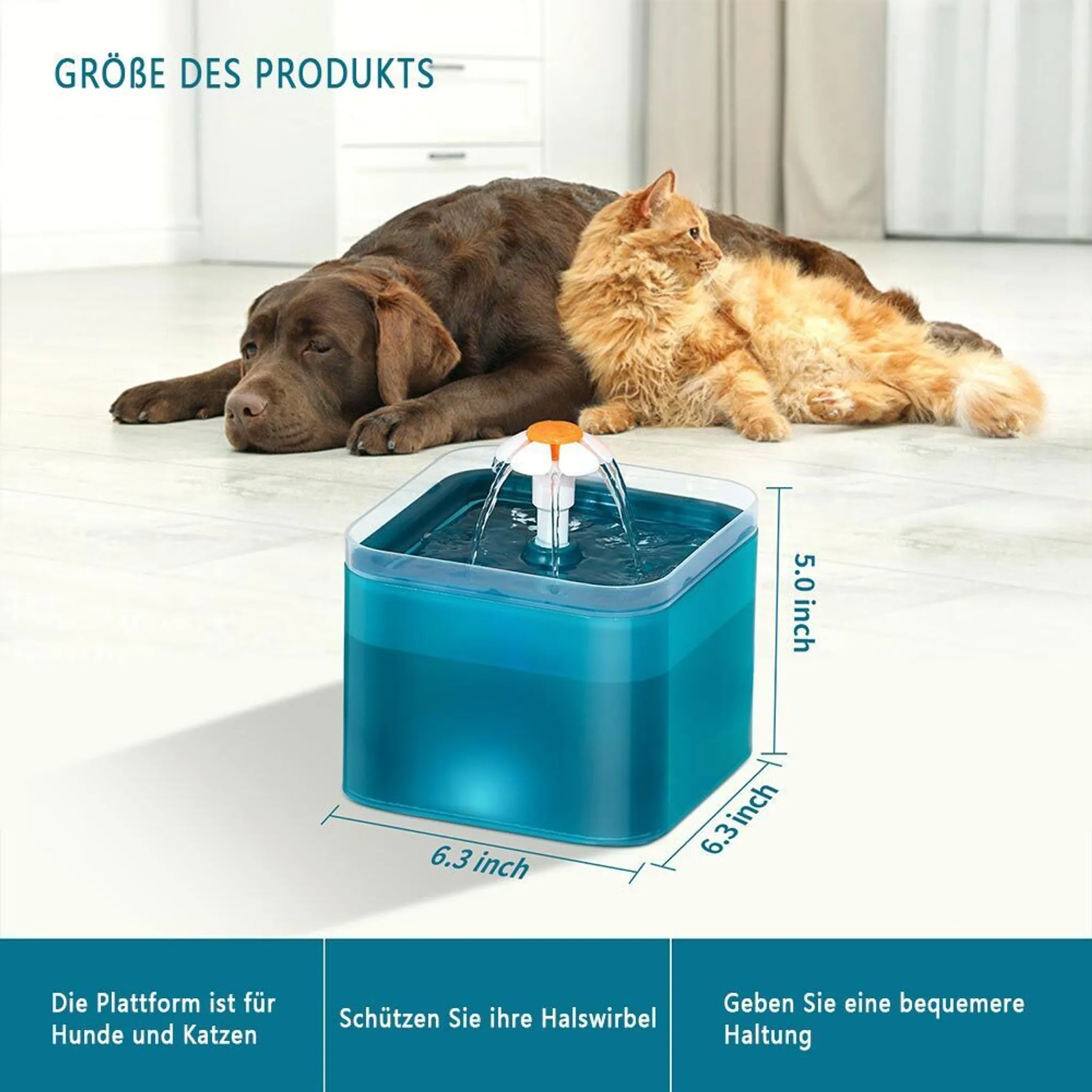 Haustierbrunnen mit Katze und Hund. Abmessungen werden ebenfalls angezeigt.