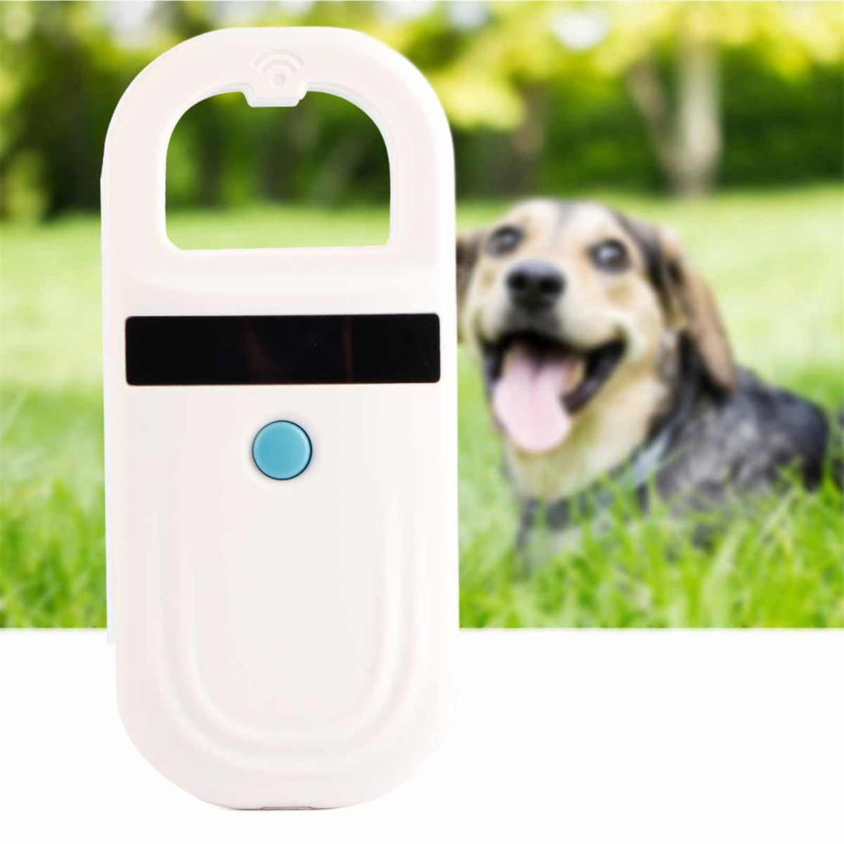 Ein weißer Haustier-Tracker mit einem Knopf, vor einem Hund im Gras. Der Hund ist unscharf.